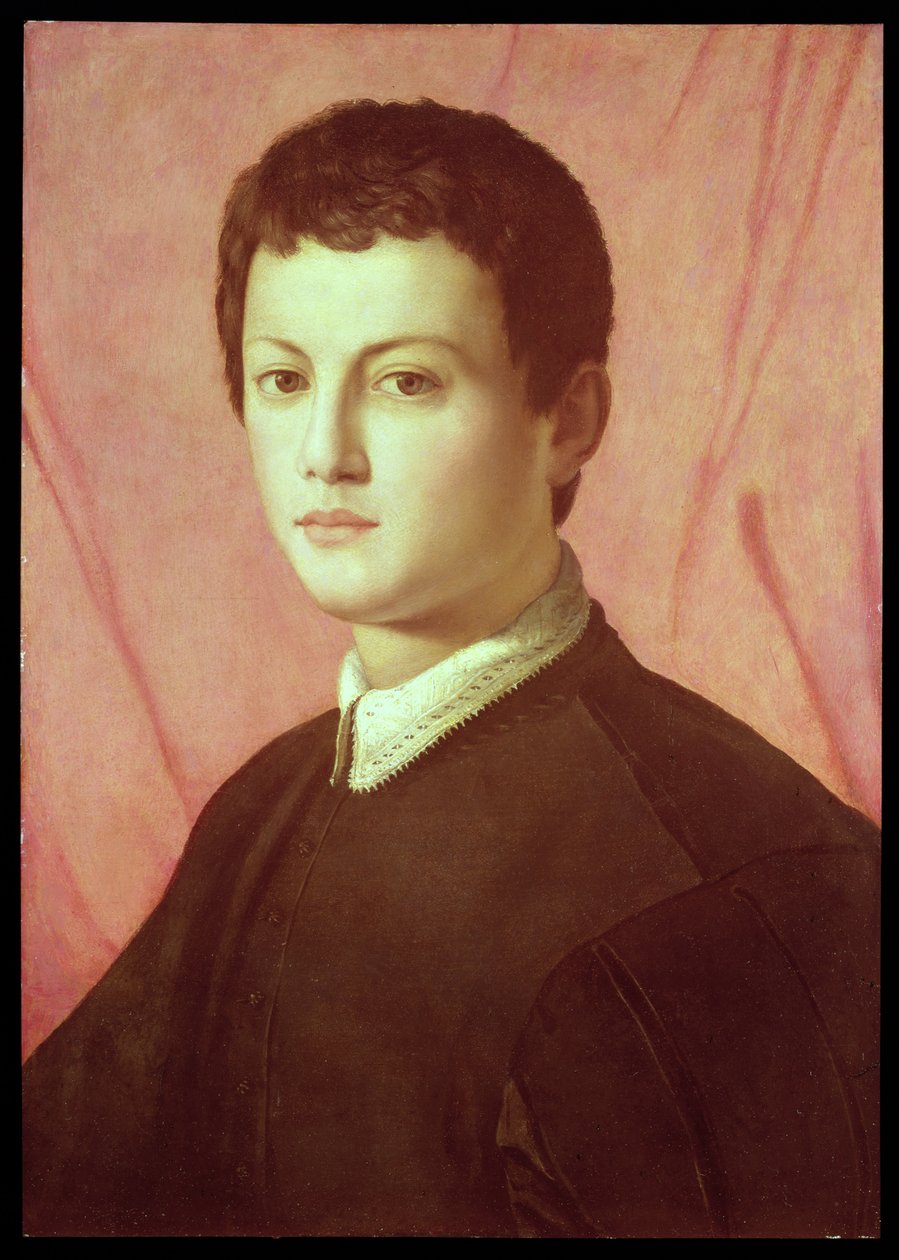 Genç bir adamın portresi (panel) by Agnolo Bronzino