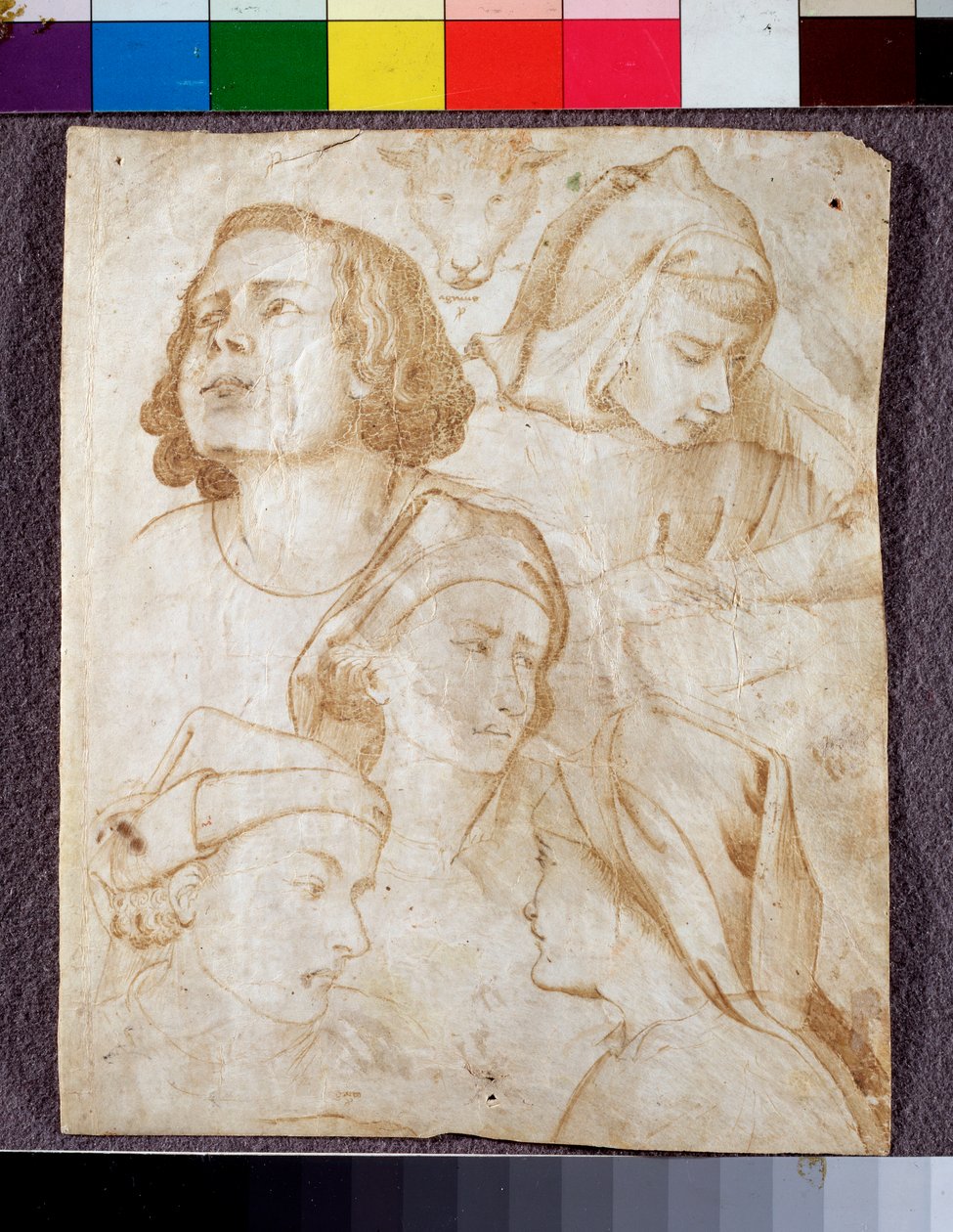 kafalar (çizim by Agnolo Gaddi