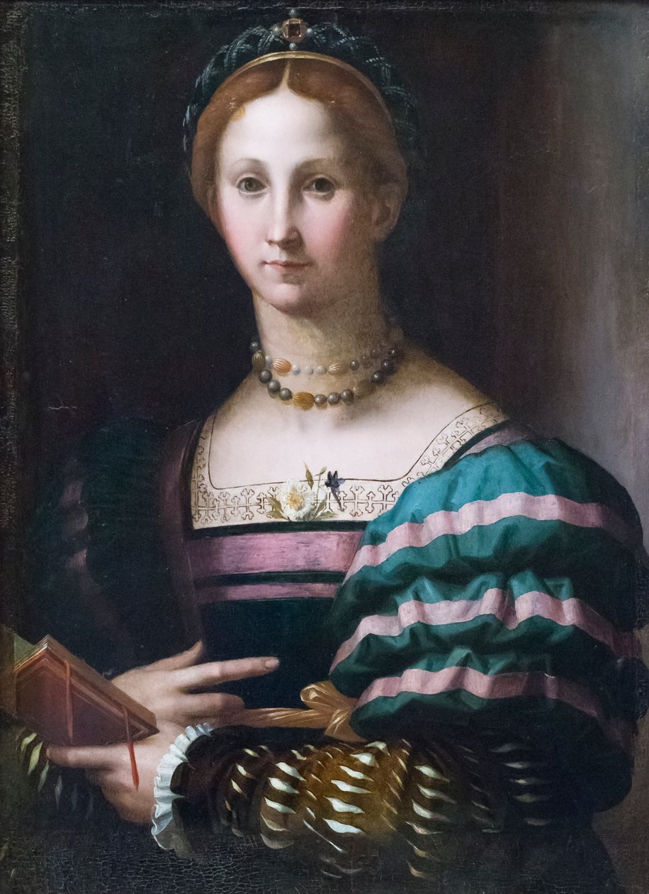 bir bayanın portresi by Agnolo Bronzino