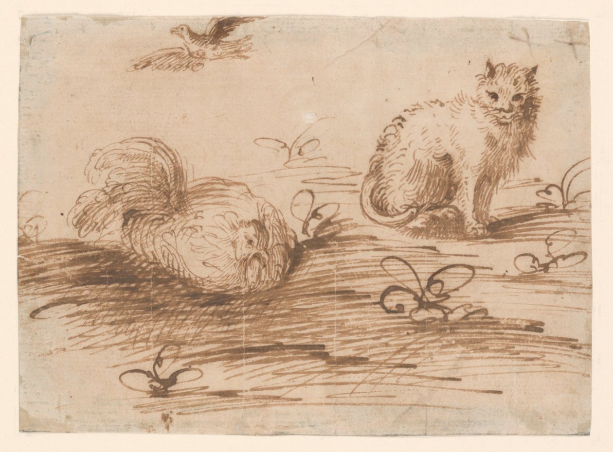 Bir Kedi ve Batan Tavuk by Agostino Carracci