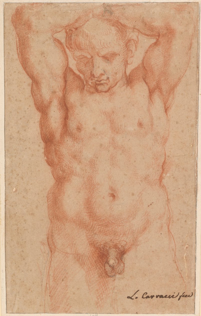 erkek çıplak by Agostino Carracci