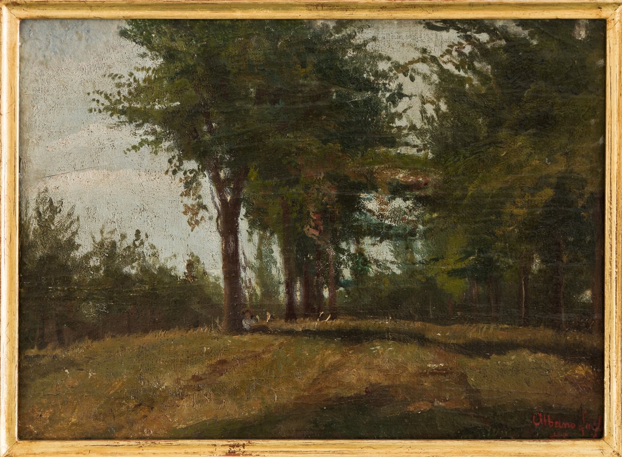The Planted Field (gemideki yağ) by Albano Lugli Carpi