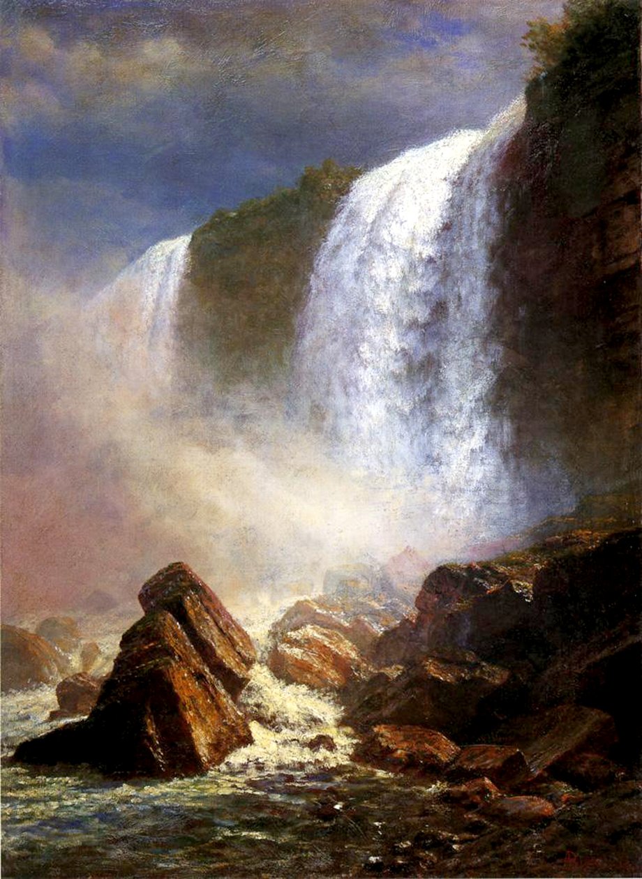 ನಯಾಗರಾ ಫಾಲ್ಸ್ ಟರ್ಕ್ by Albert Bierstadt