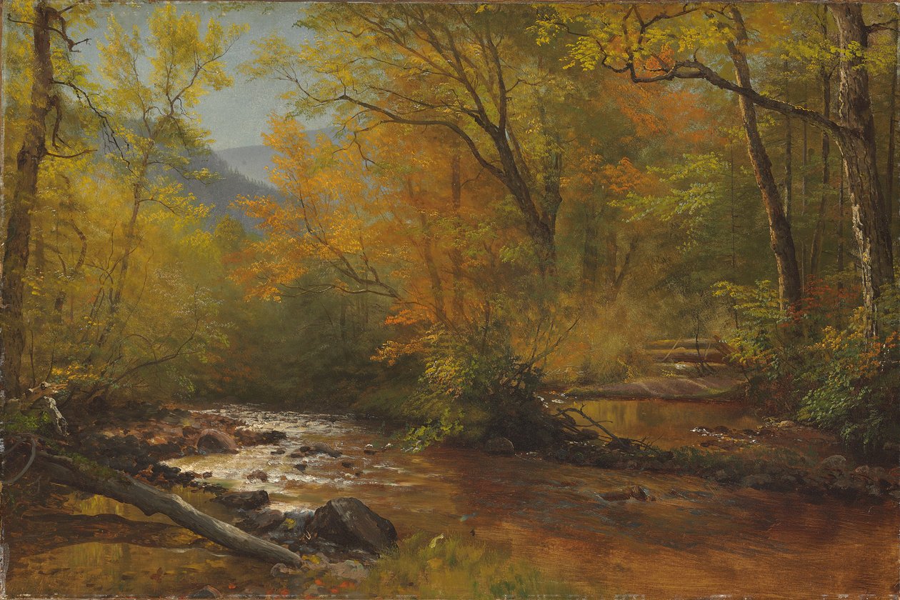 ormanda dere by Albert Bierstadt