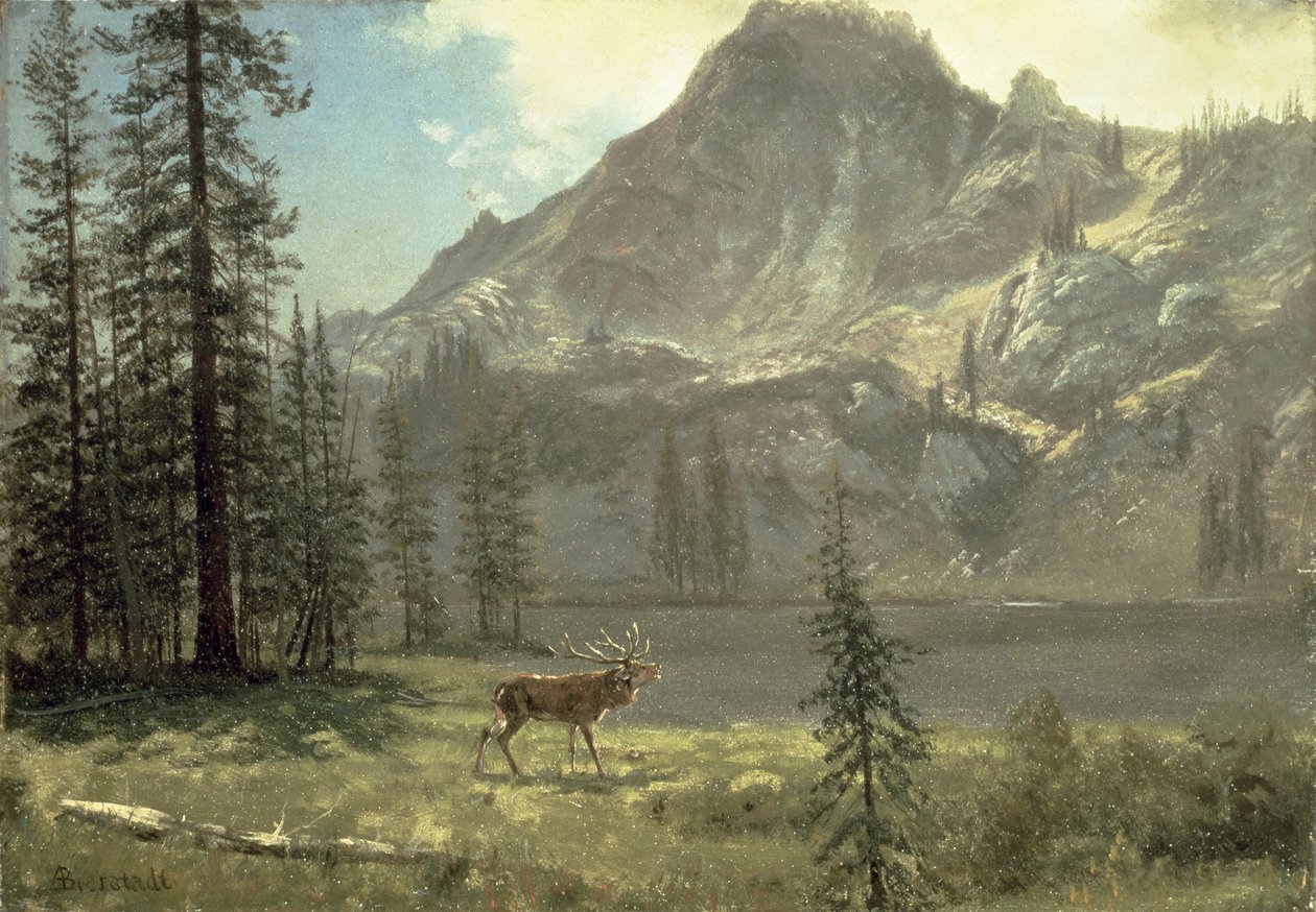 Vahşi çağrı by Albert Bierstadt