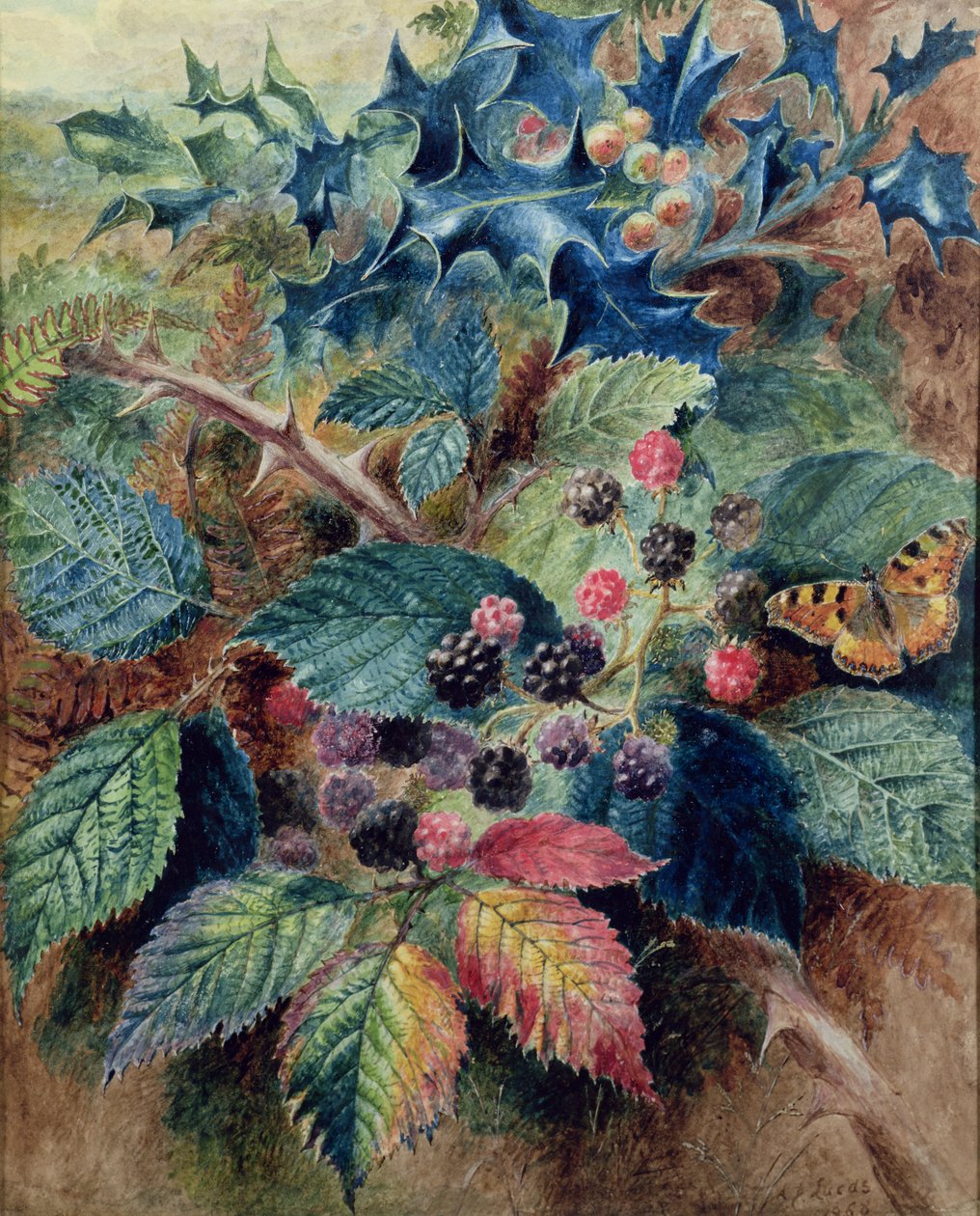 Bir Kelebek ile böğürtlen ve Holly by Albert Durer Lucas