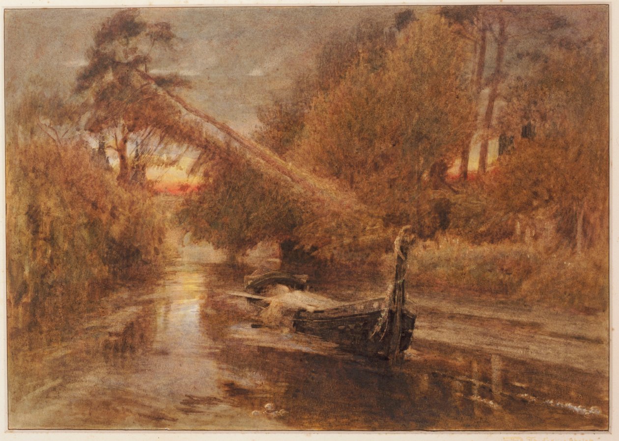 Shalott