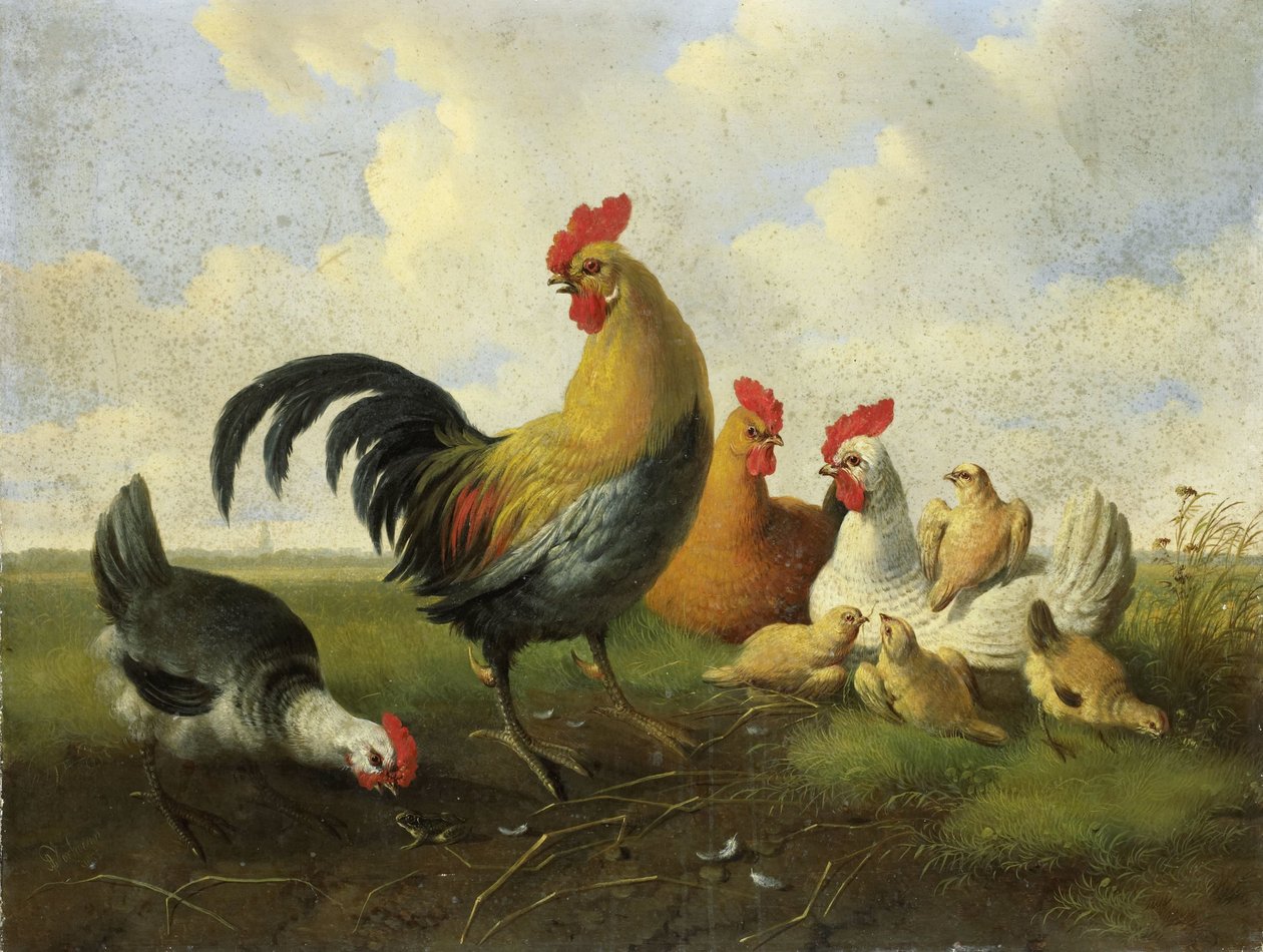 Tavuklar ve Civcivler ile bir horoz by Albertus Verhoesen