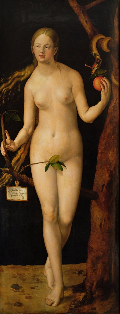Havva, 1507 by Albrecht Dürer