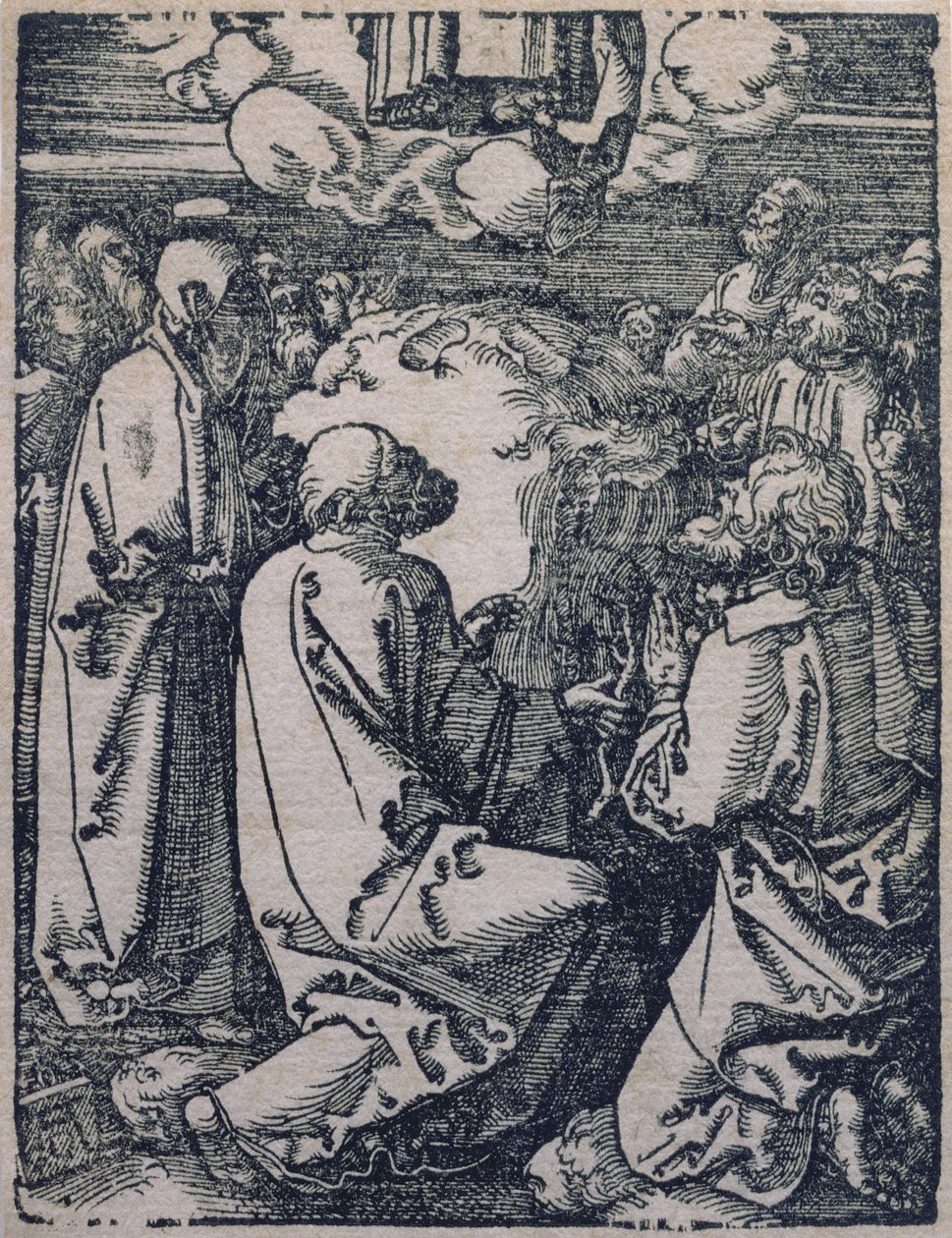 ದಿ ಅಸೆನ್ಶನ್, 1511 ಟರ್ಕ್ by Albrecht Dürer