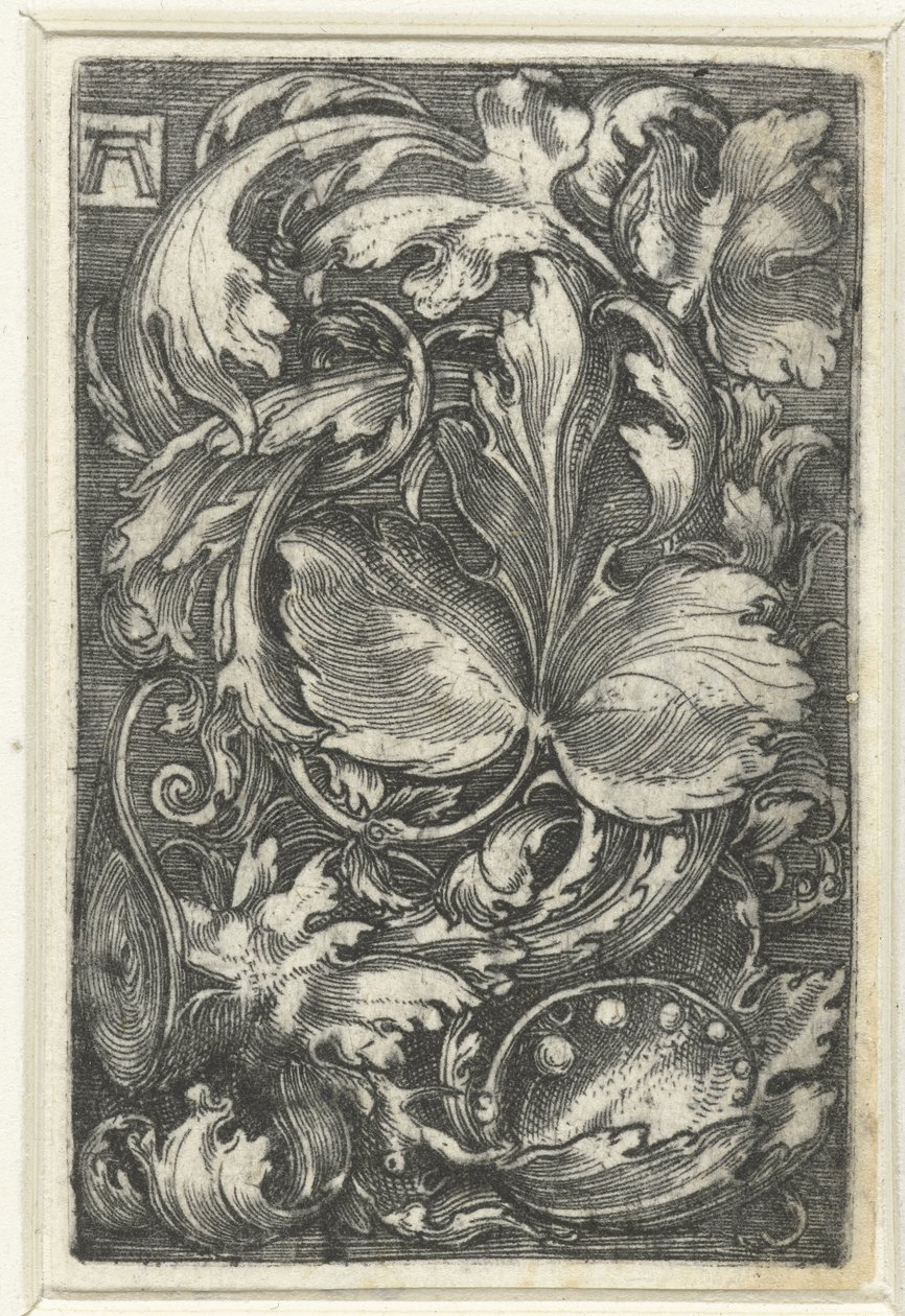 Süs bladranken bir araya geldi by Albrecht Altdorfer