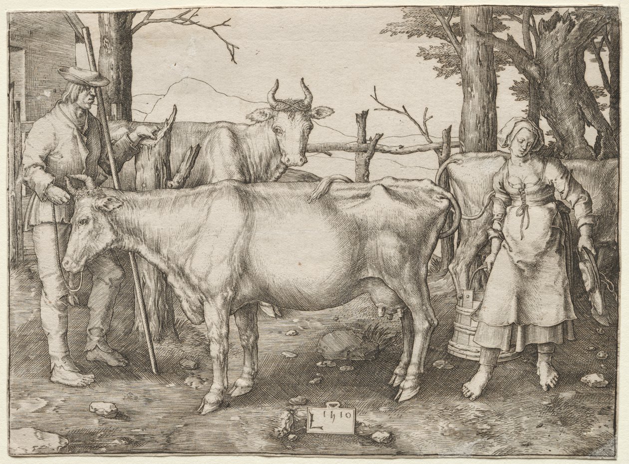 Sütçü Kız by Albrecht Altdorfer