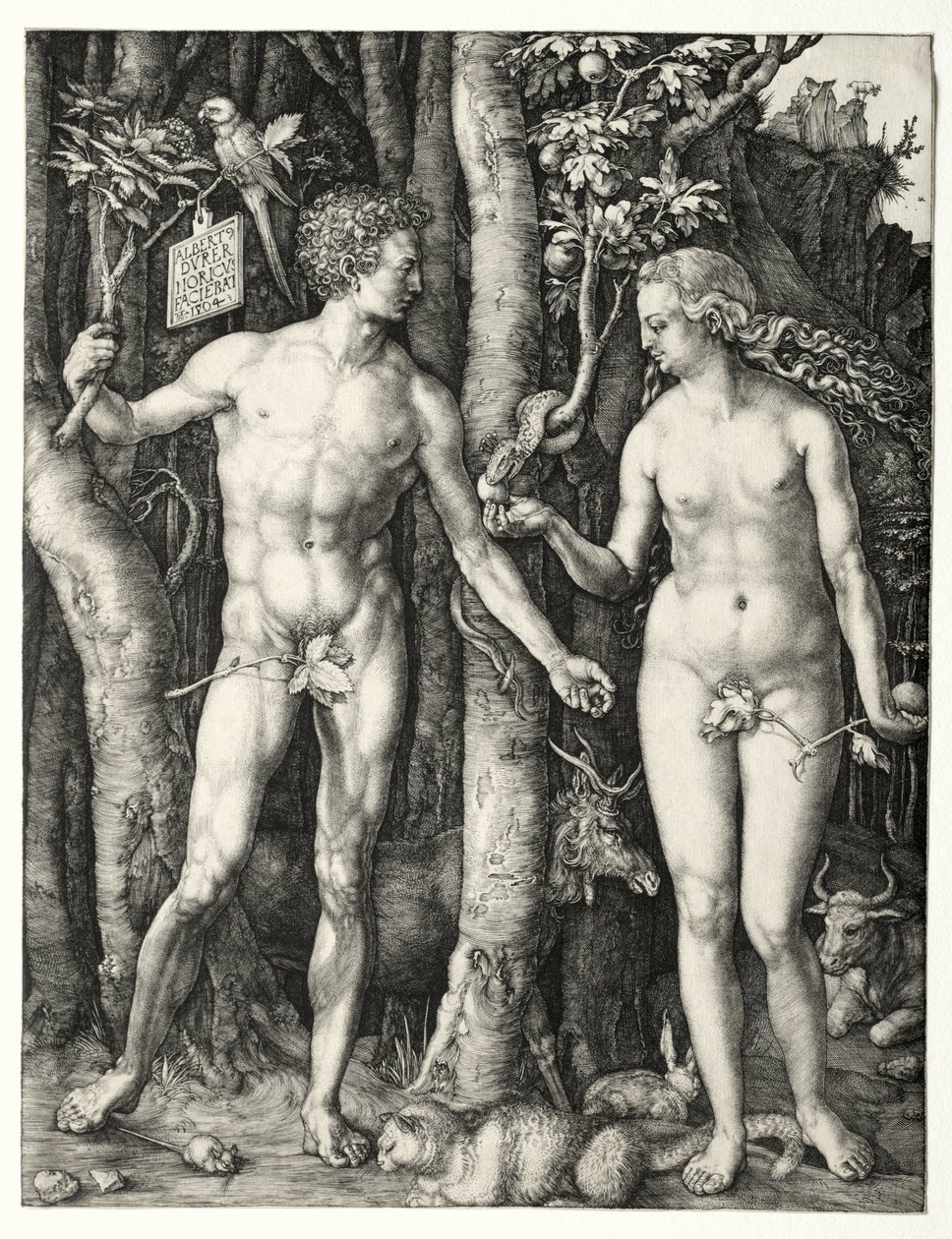 Adem ve Havva by Albrecht Dürer