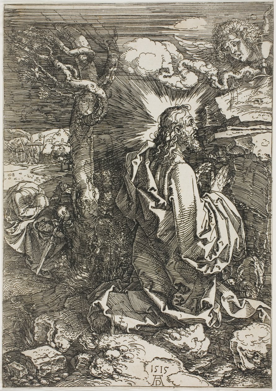 Bahçedeki Acı by Albrecht Dürer