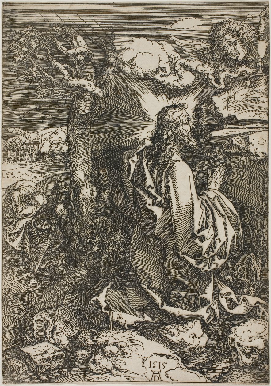 Bahçedeki Acı by Albrecht Dürer