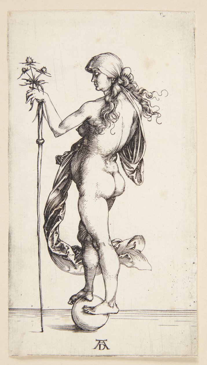 Talih by Albrecht Dürer
