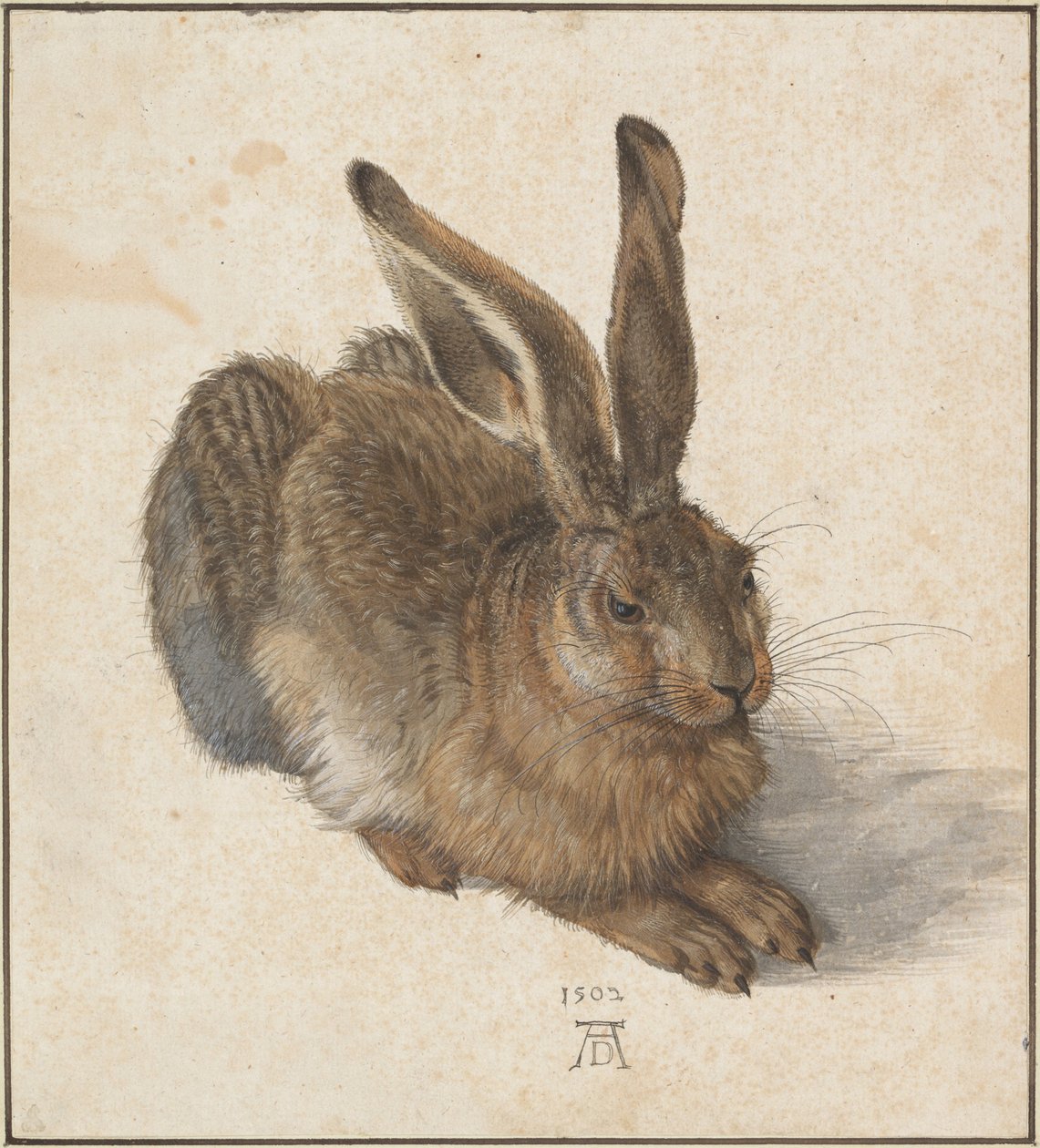 Evet, 1502 by Albrecht Dürer