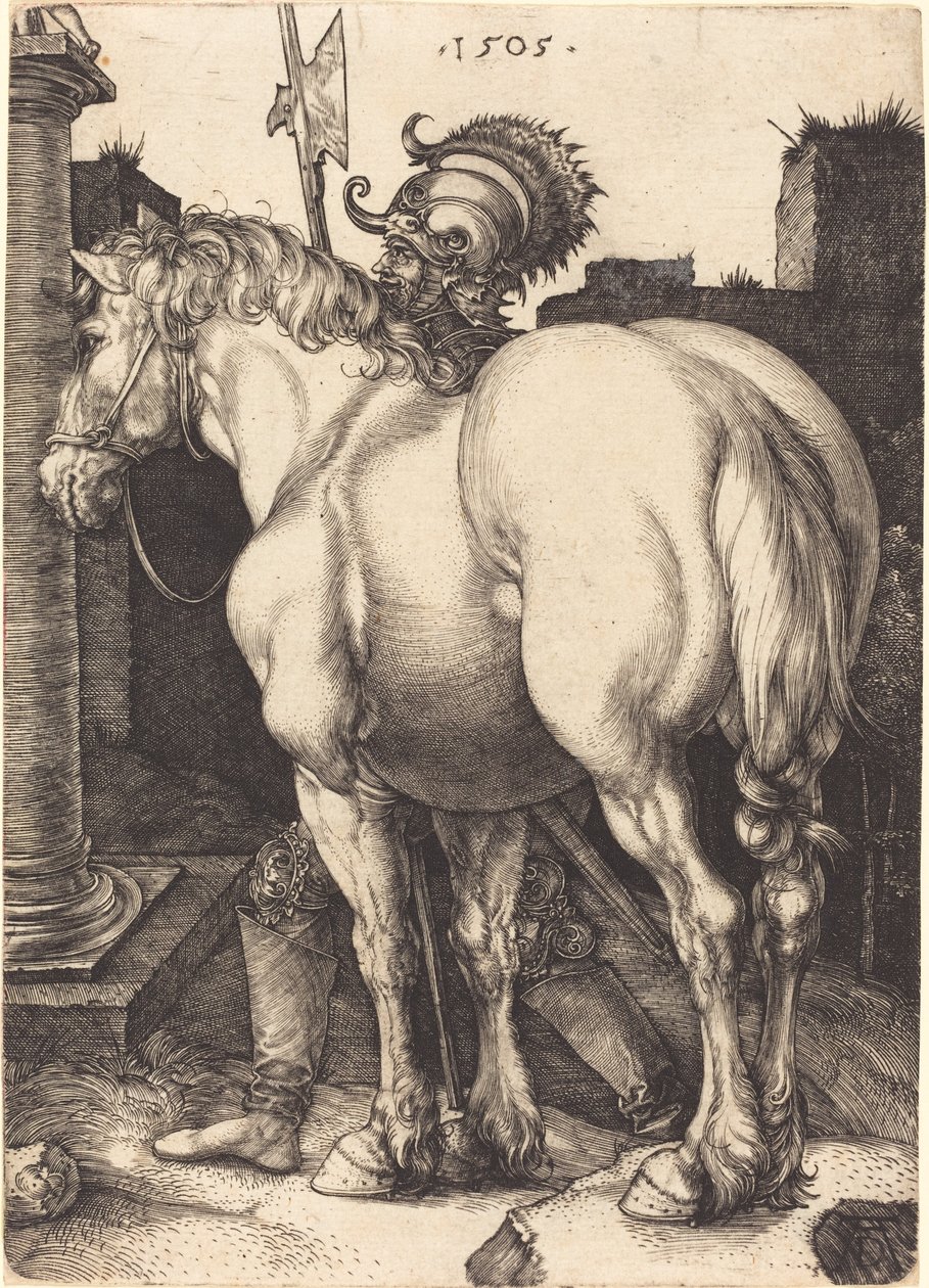 büyük at by Albrecht Dürer