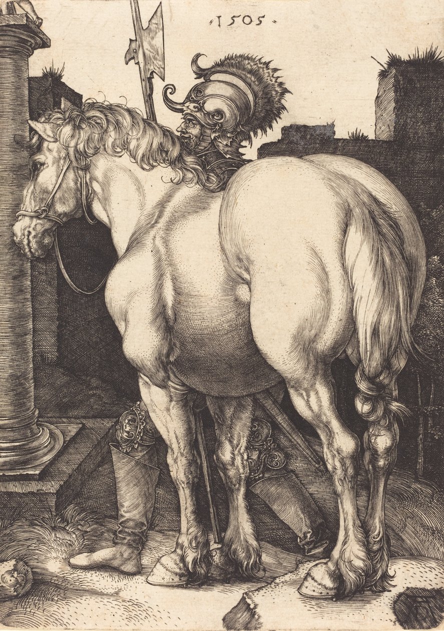 Büyük At, 1505. by Albrecht Dürer