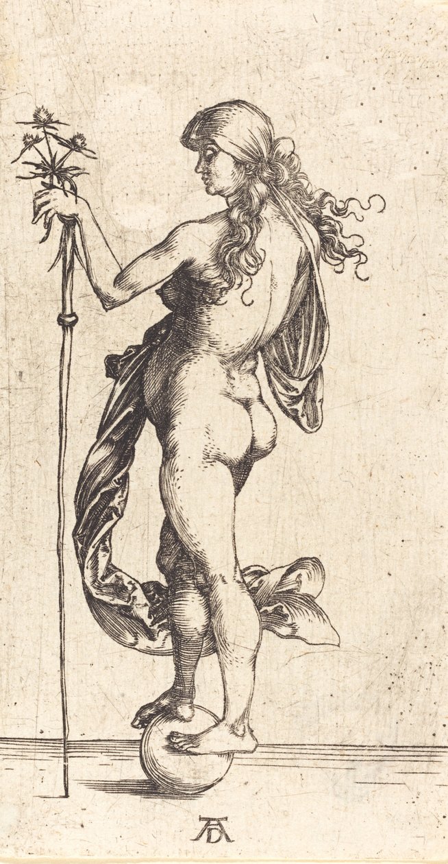 Küçük Servet, c. 1496. by Albrecht Dürer