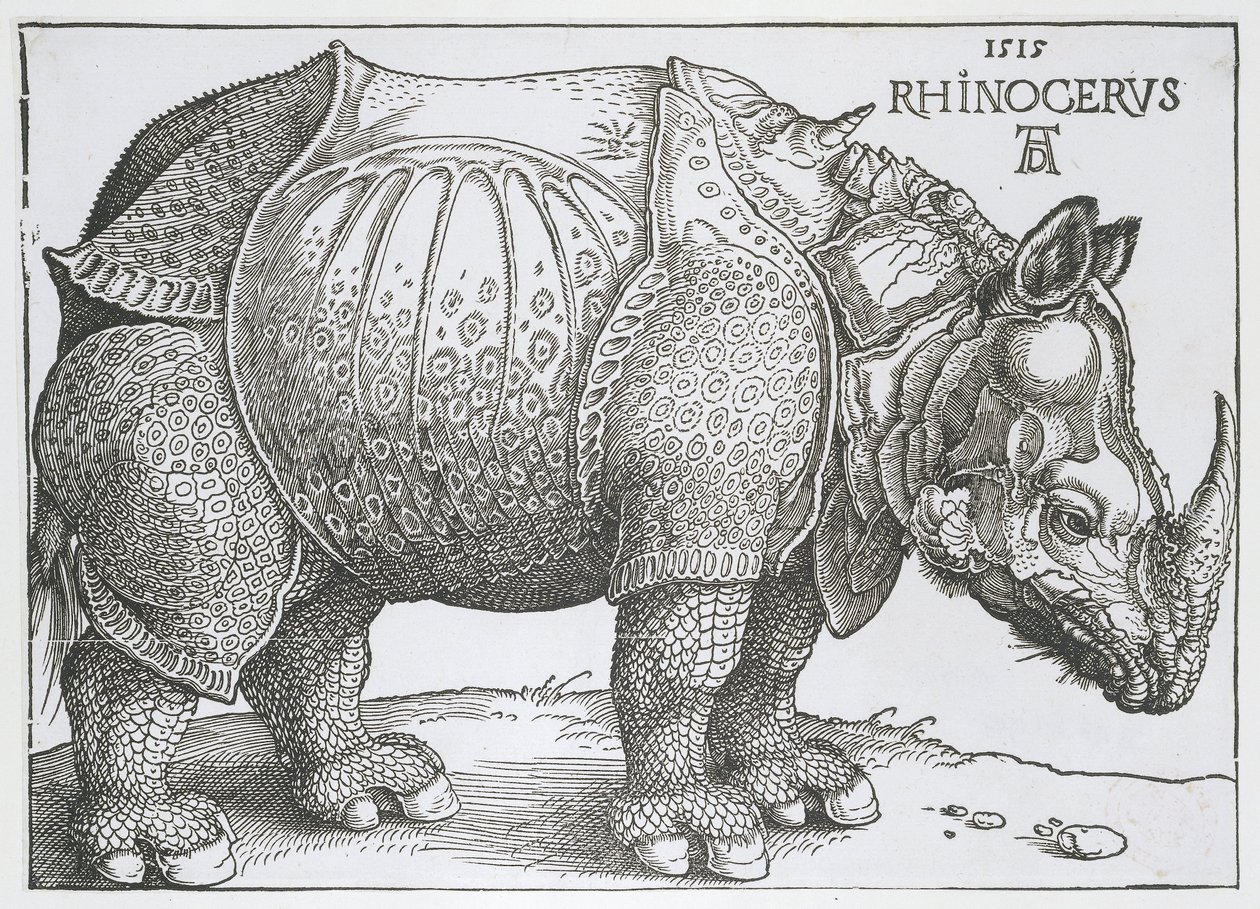 Gergedan Gergedan (nesne üzerindeki başlık) by Albrecht Dürer