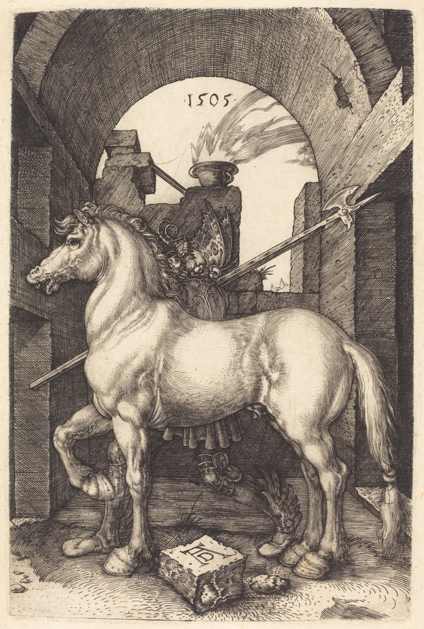 Küçük At, 1505. by Albrecht Dürer