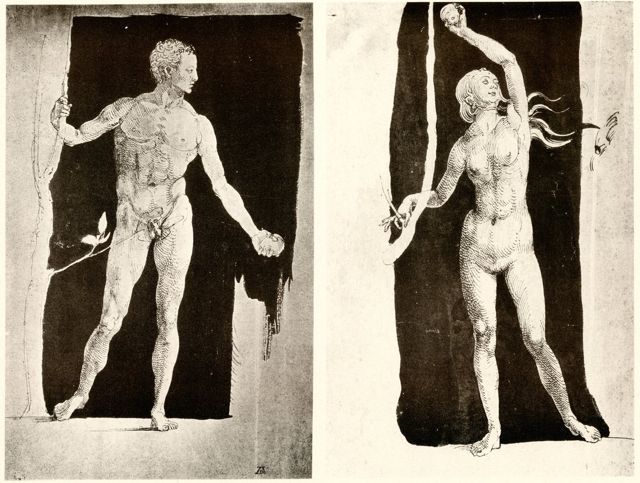 Adem ve Havva ile ilgili çalışmalar by Albrecht Dürer