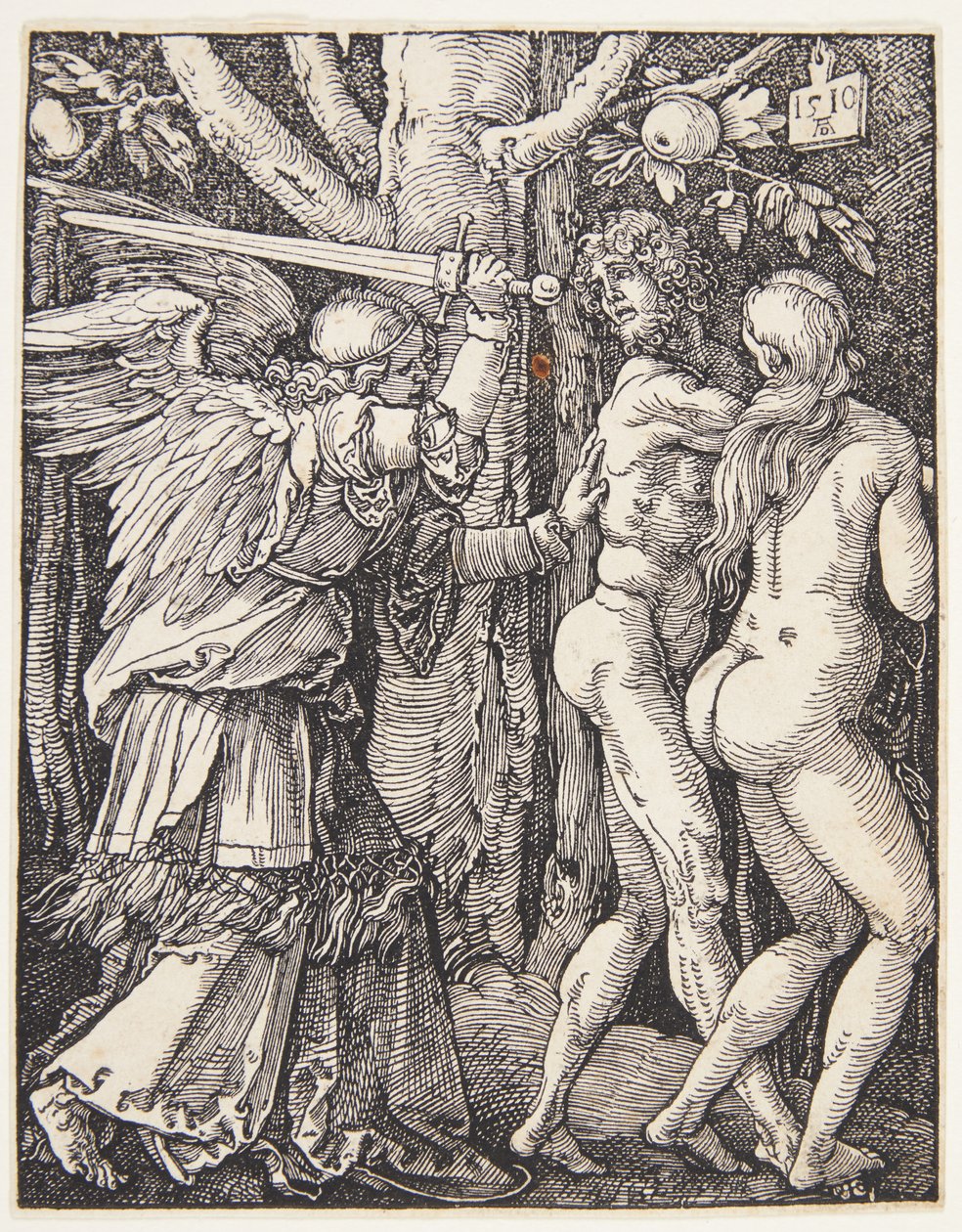 Cennetten Kovulma by Albrecht Dürer