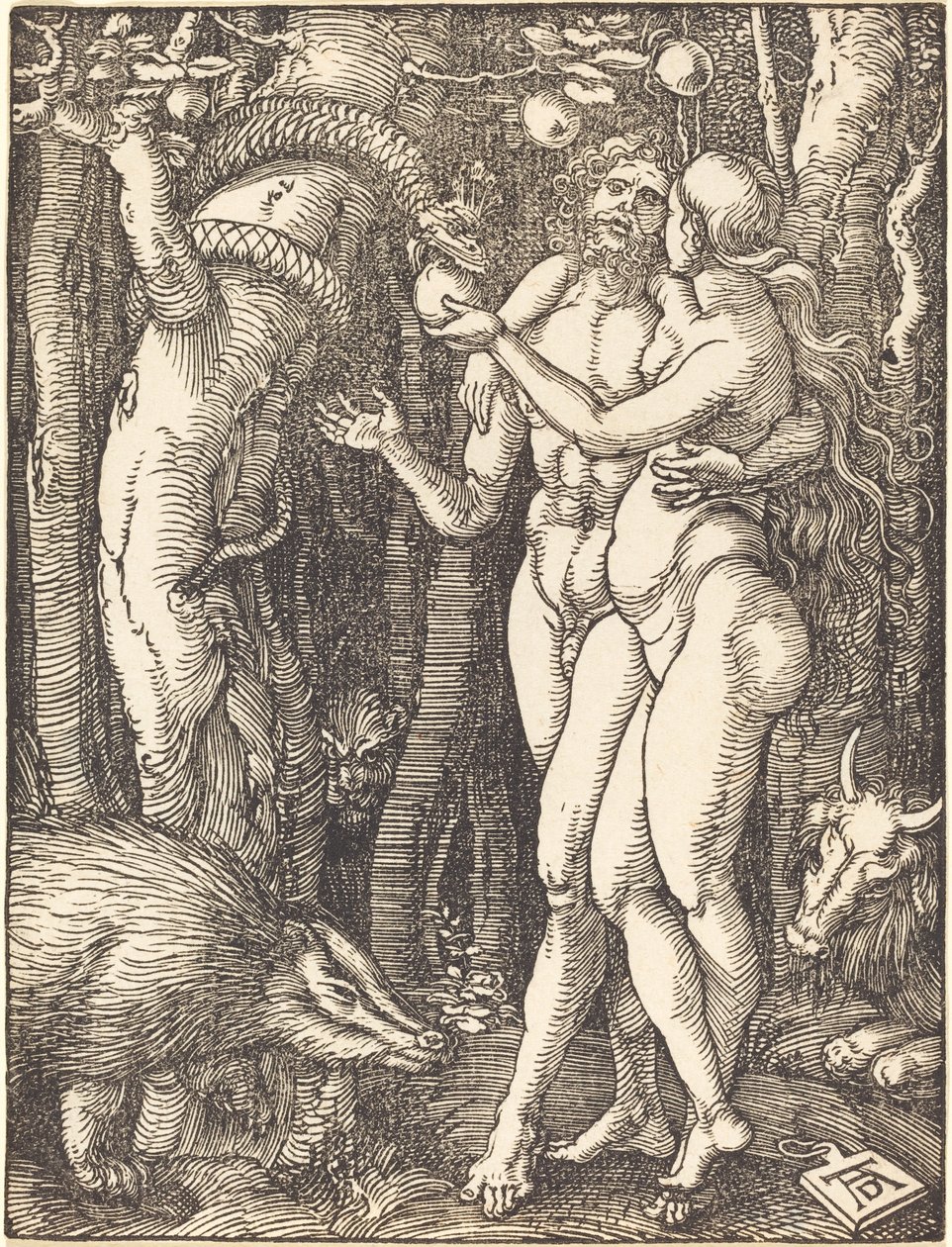 İnsanın Düşüşü by Albrecht Dürer