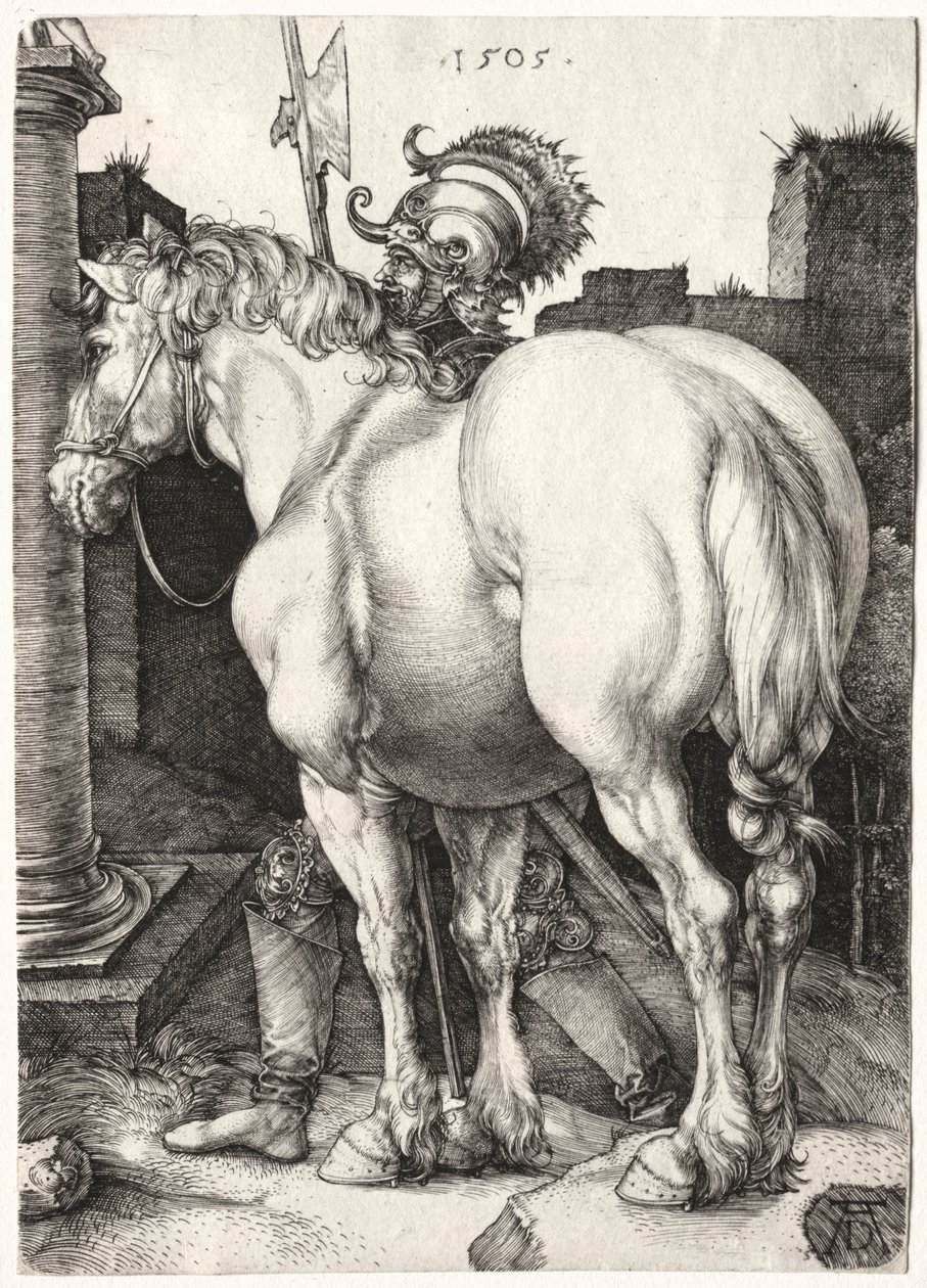 Büyük At by Albrecht Dürer