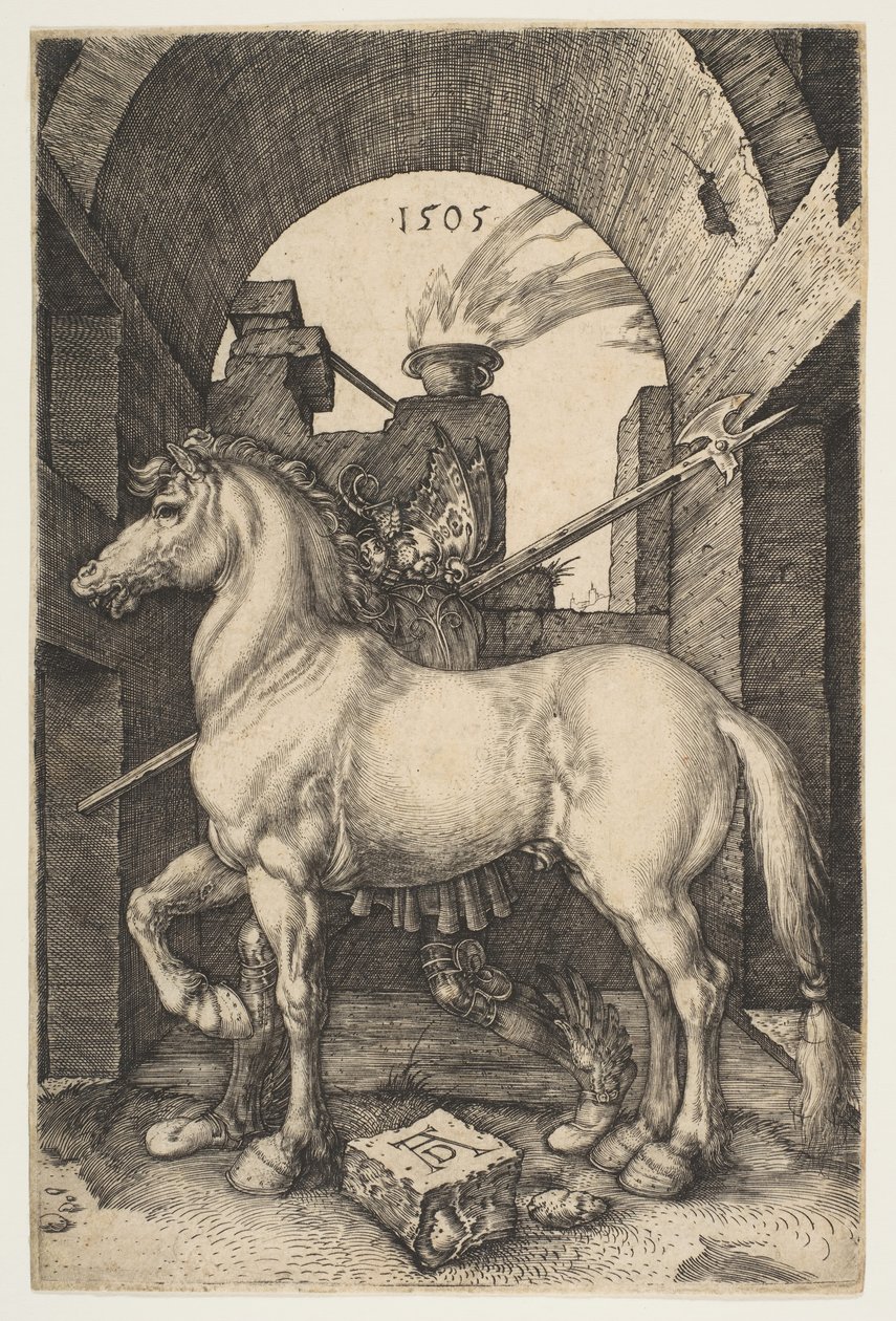 Küçük At, 1505. by Albrecht Dürer