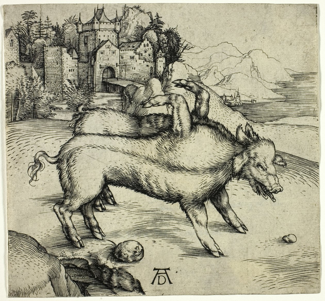 Landser'ın Canavar Domuzu by Albrecht Dürer