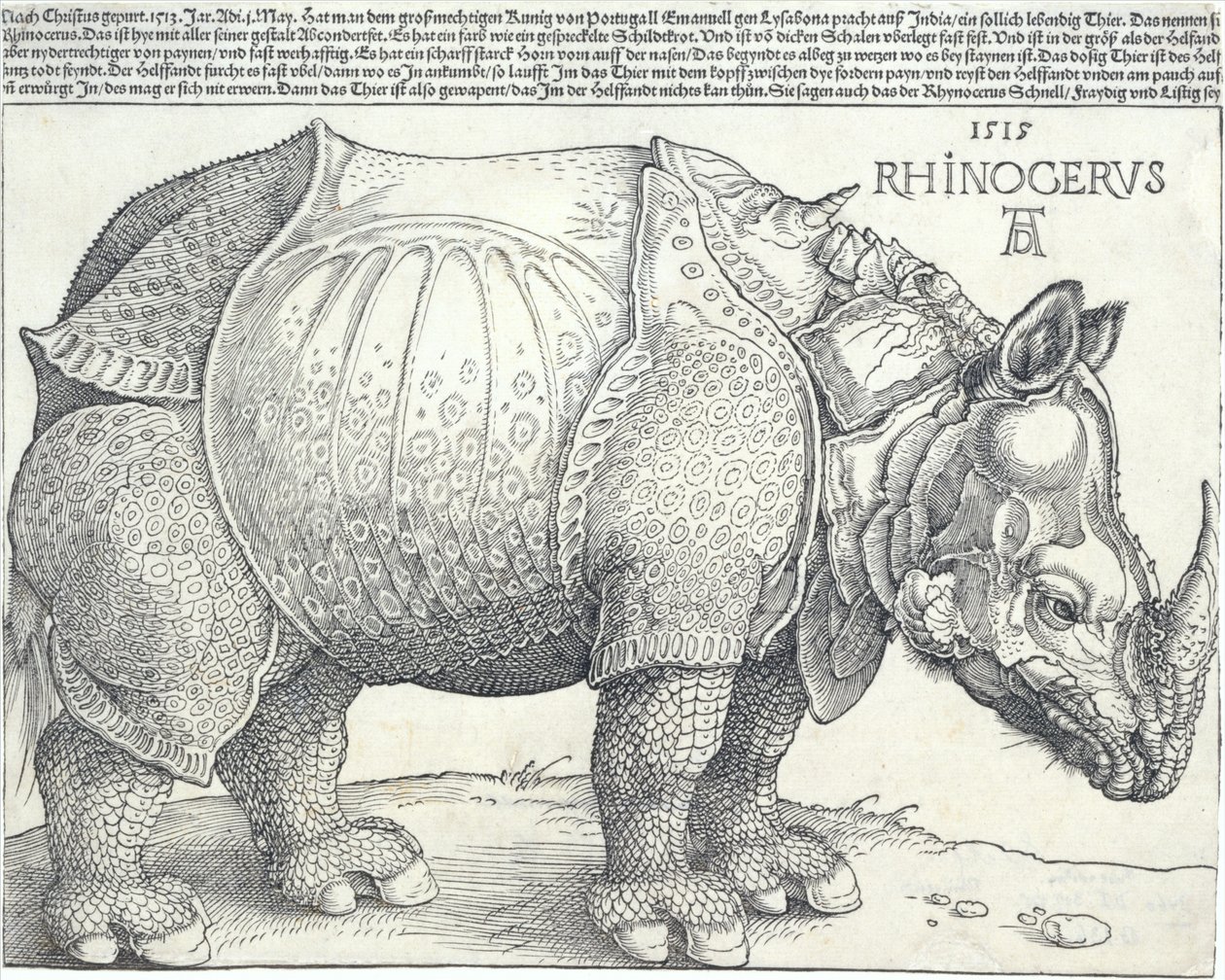 Gergedan, 1515., 1515. by Albrecht Dürer
