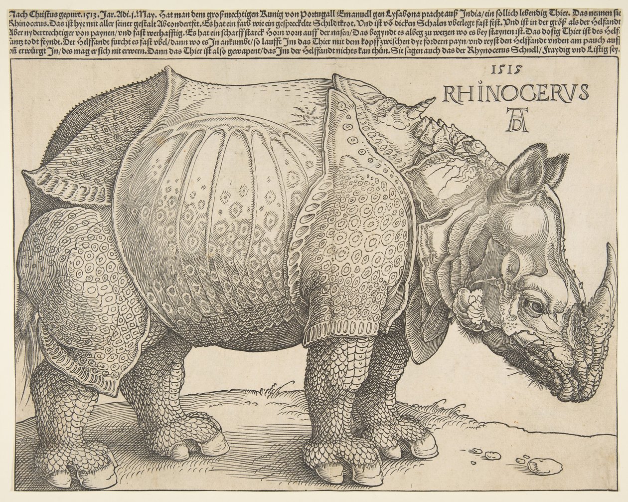Gergedan.n.d. by Albrecht Dürer