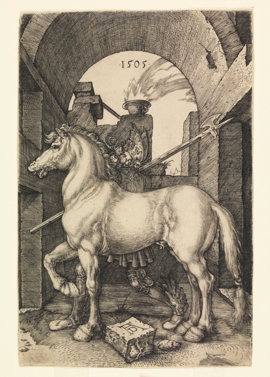 Küçük At by Albrecht Dürer