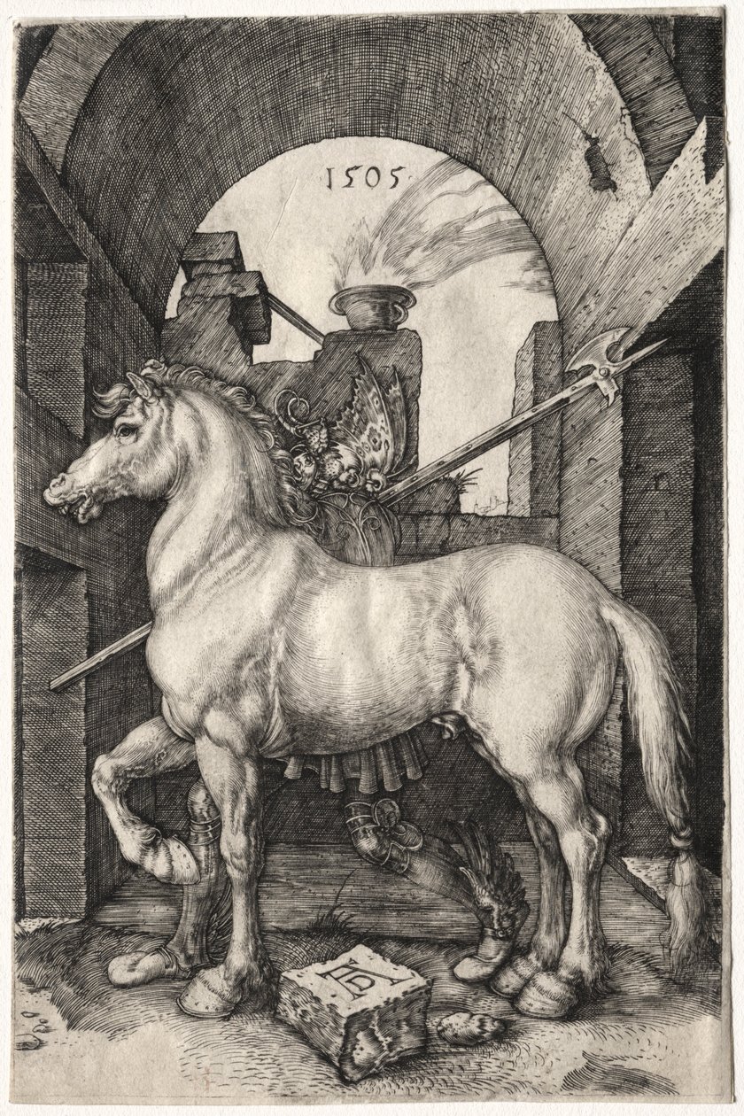 Küçük At, 1505. by Albrecht Dürer