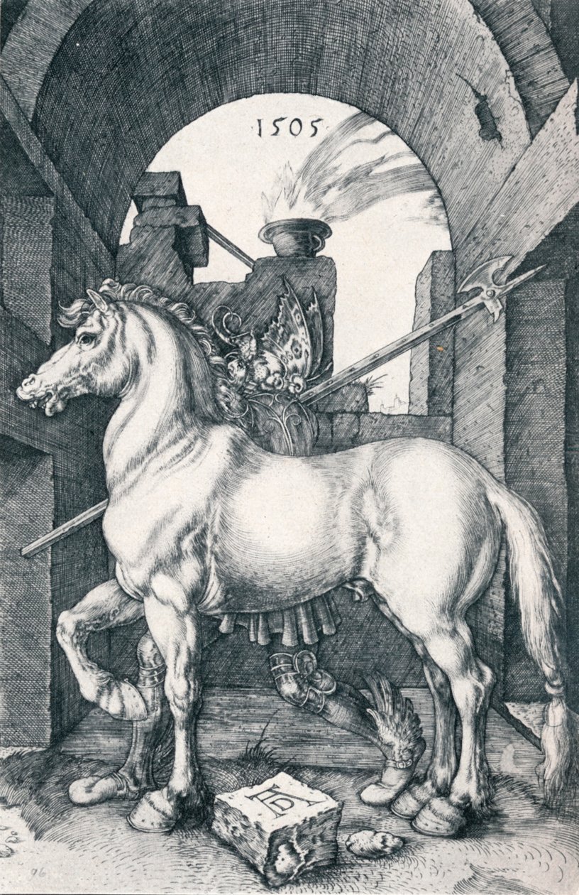 Küçük At, 1505 1906 by Albrecht Dürer