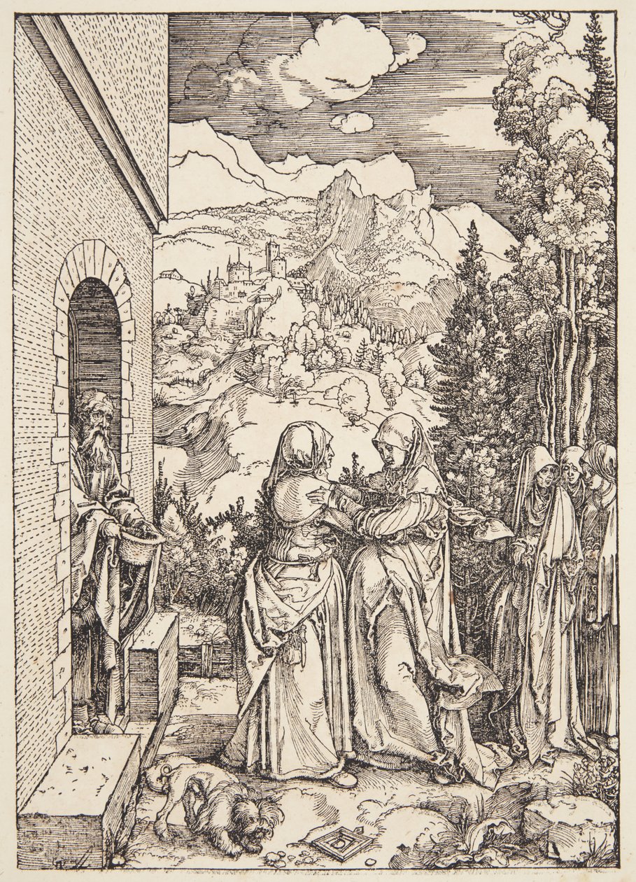 Ziyaret by Albrecht Dürer