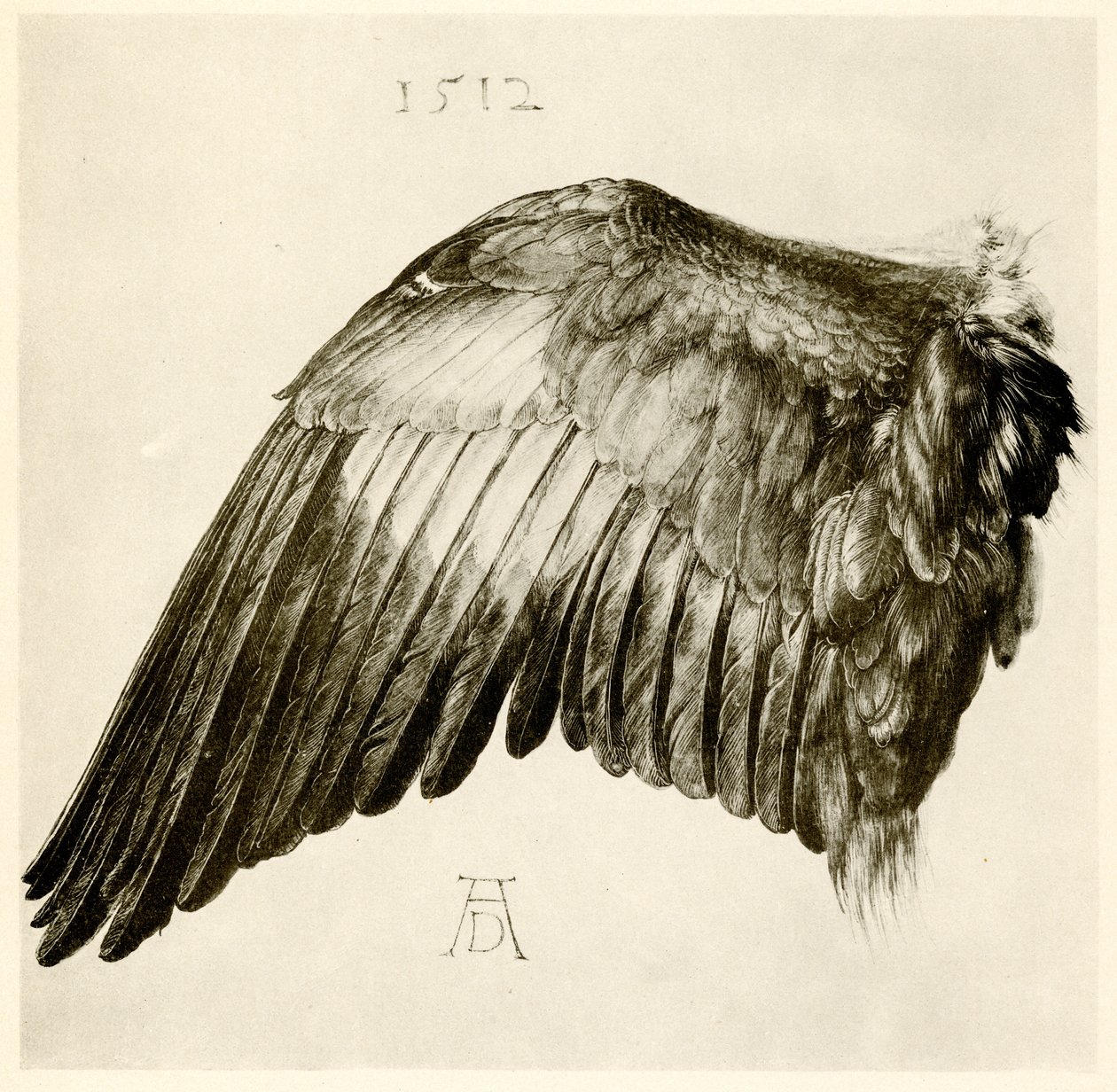 Mavi bir silindirin kanadı by Albrecht Dürer