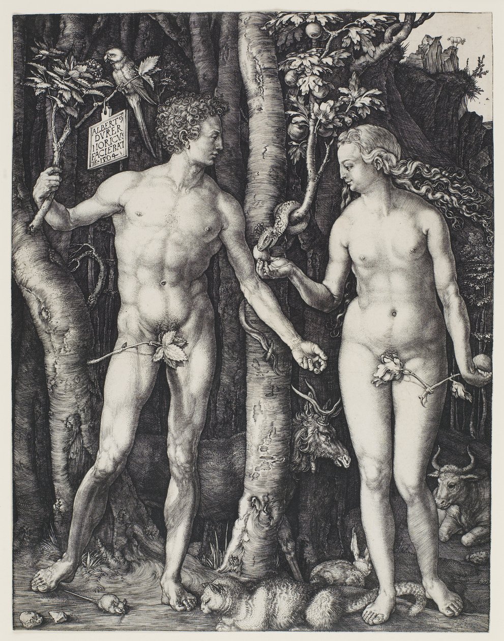 Adem ve Havva by Albrecht Dürer