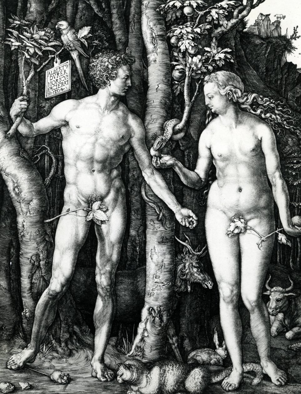 Adem ve Havva by Albrecht Dürer