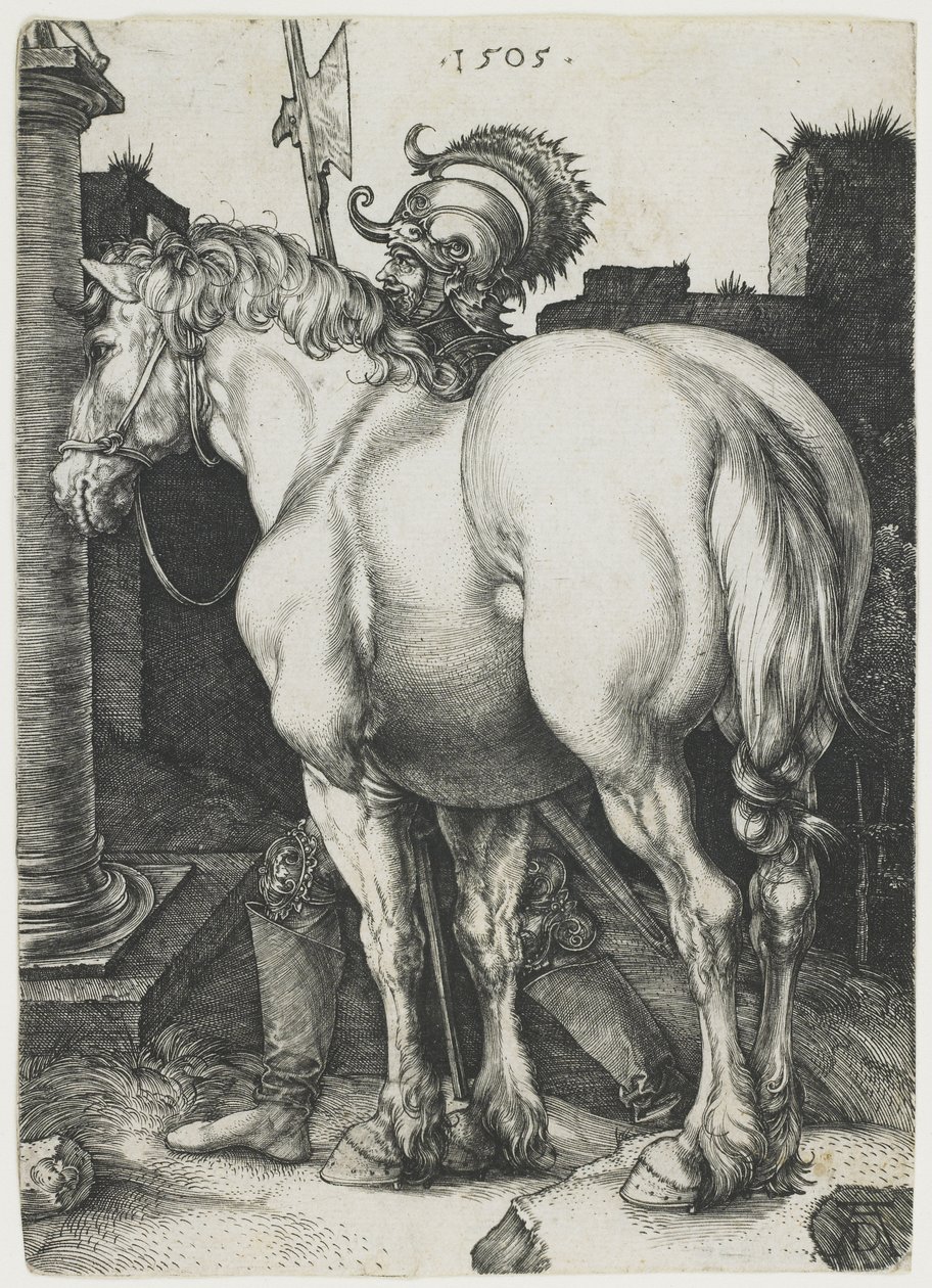 Büyük At by Albrecht Dürer