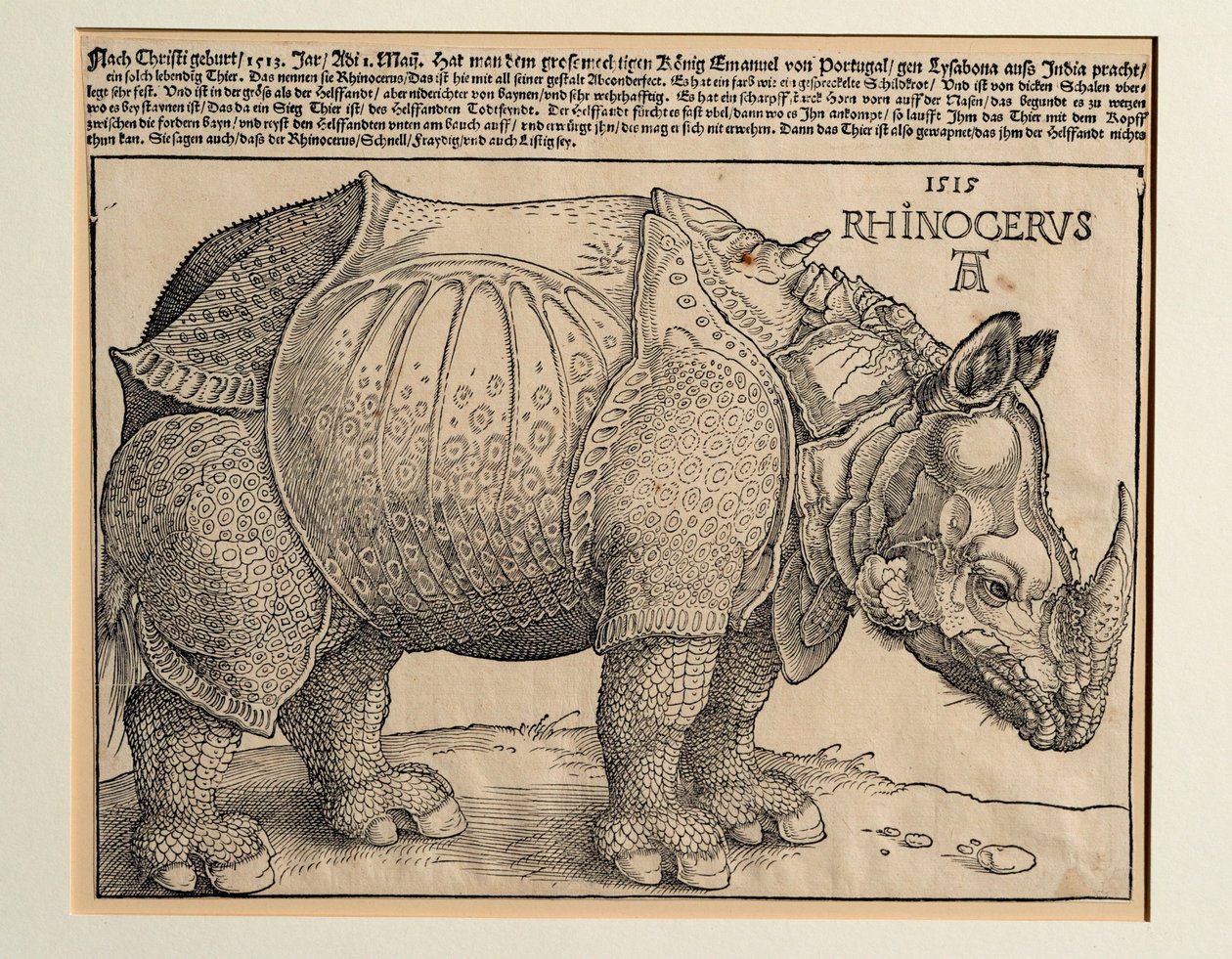  by Albrecht Dürer or Duerer