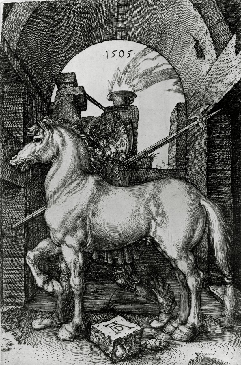 Küçük At by Albrecht Dürer