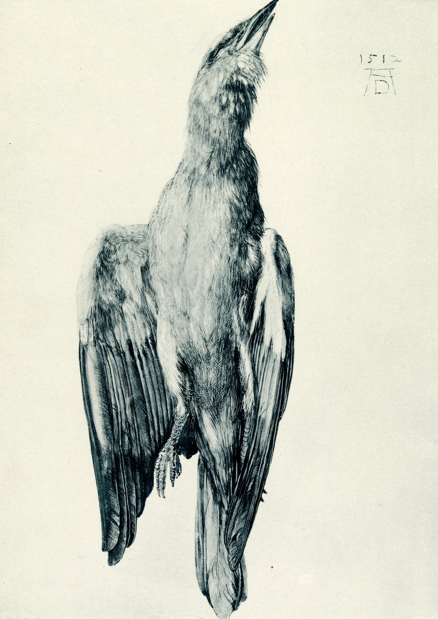 ölü mavi silindir by Albrecht Dürer