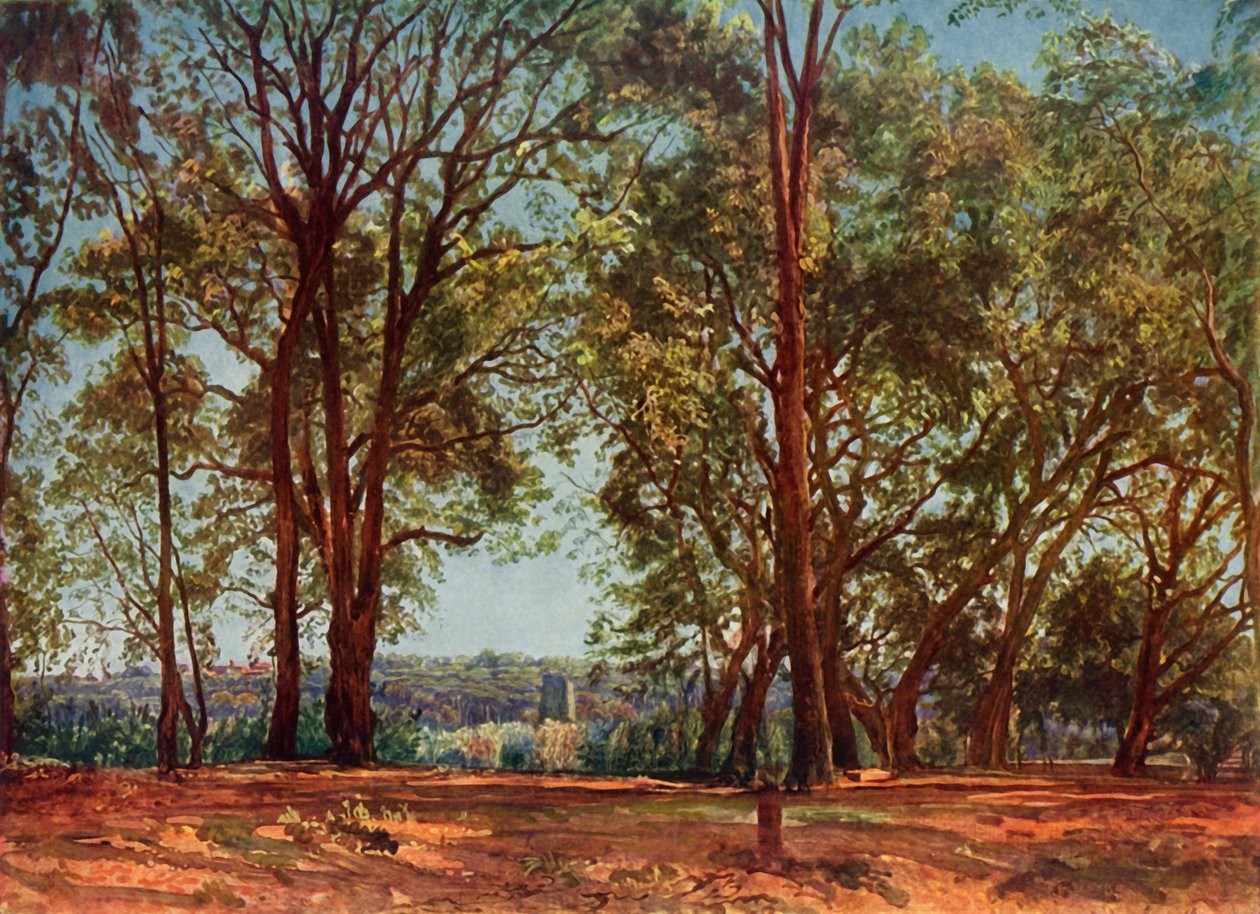 Aricci Parkında, 1830