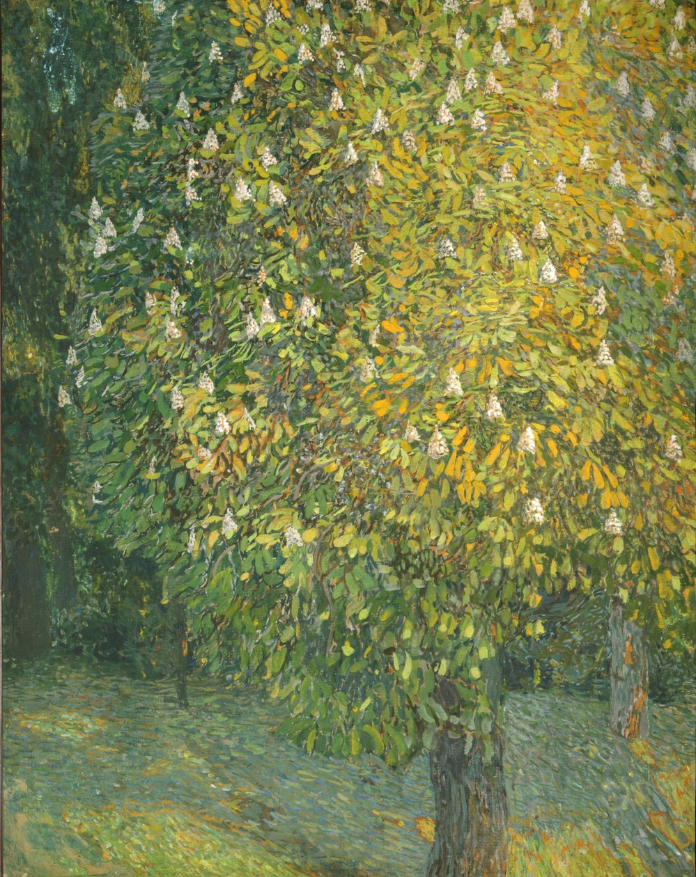 çiçek açan kestane ağacı by Aleksandr Jakovlevic Golovin