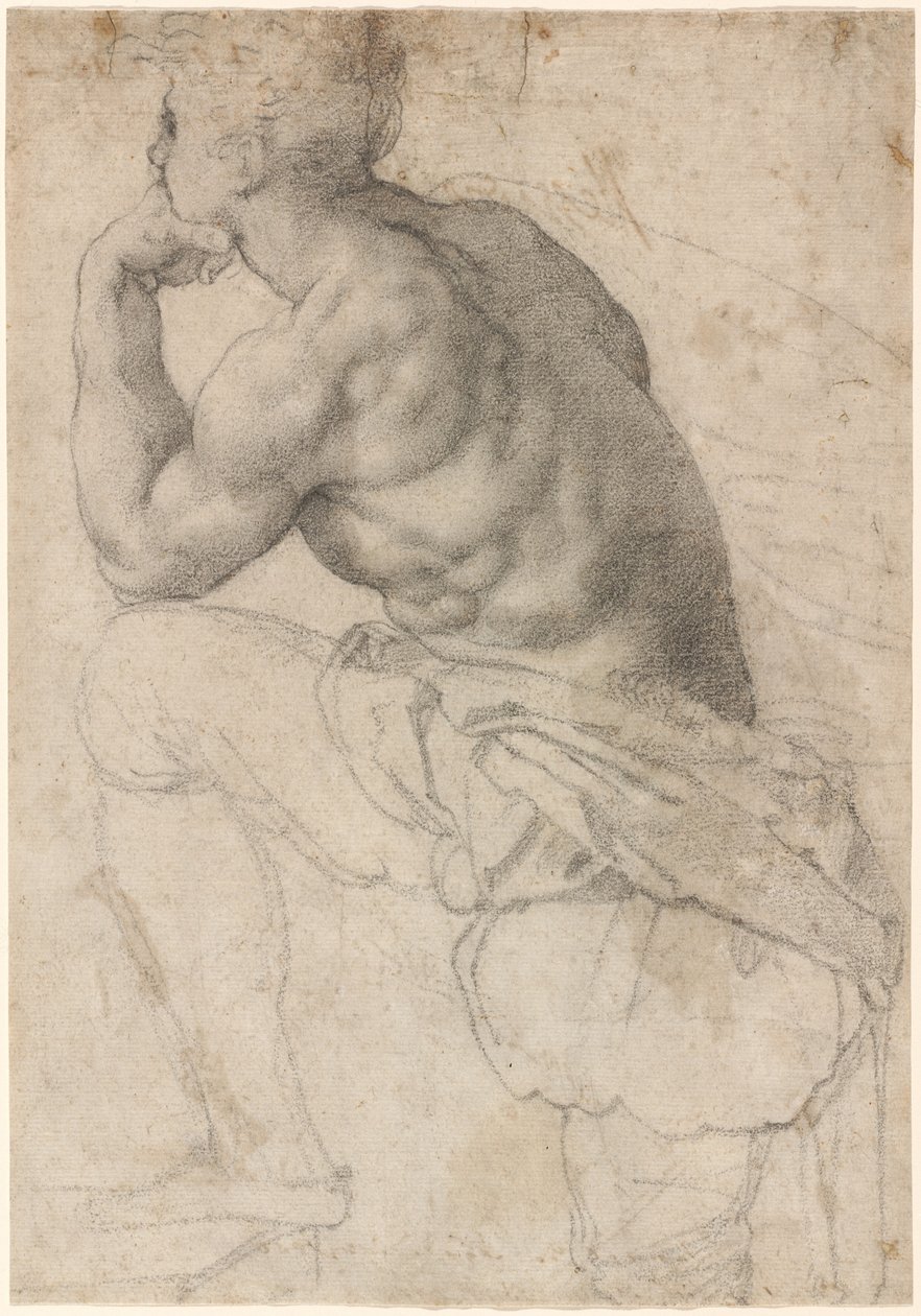 İnci Dalgıç by Alessandro Allori