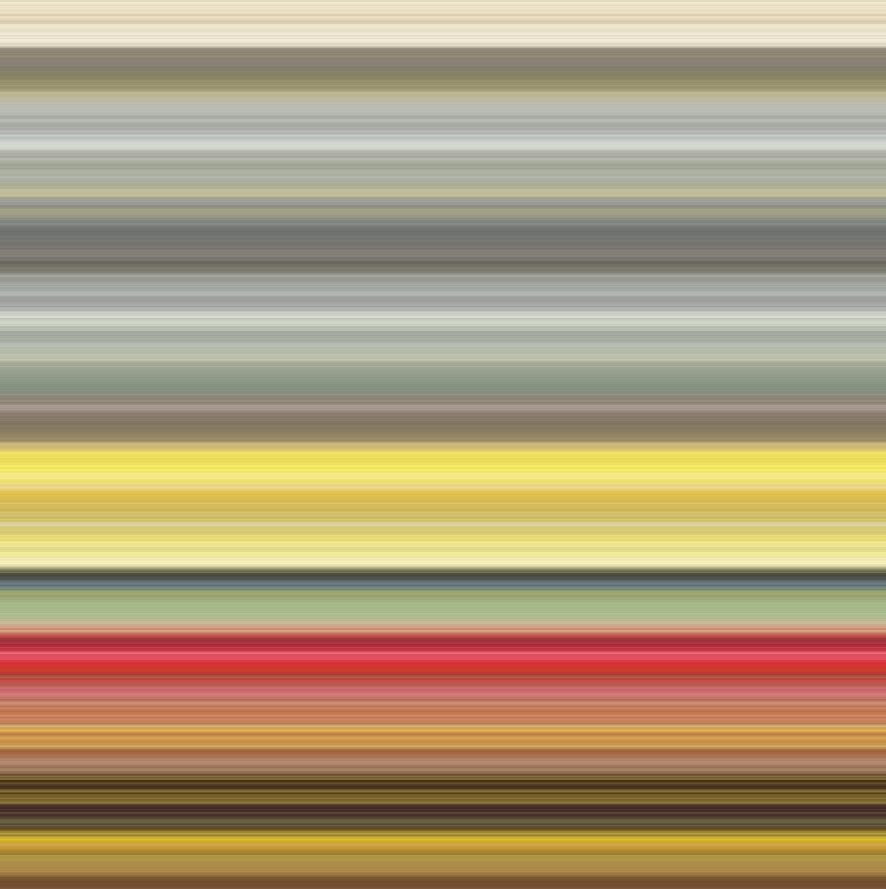 №49,2017,(fotoğraf) by Alex Caminker