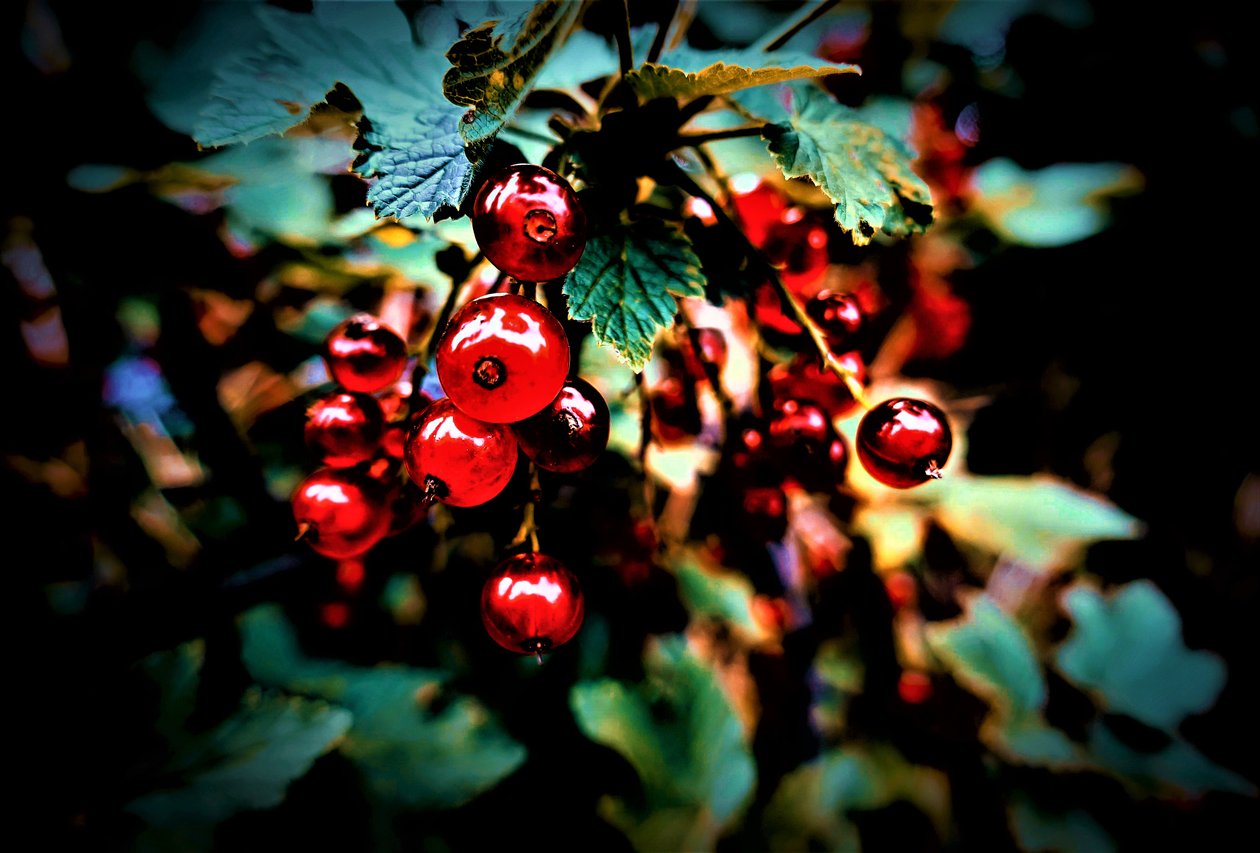 İsimsiz,2019,(fotoğraf) by Alex Caminker